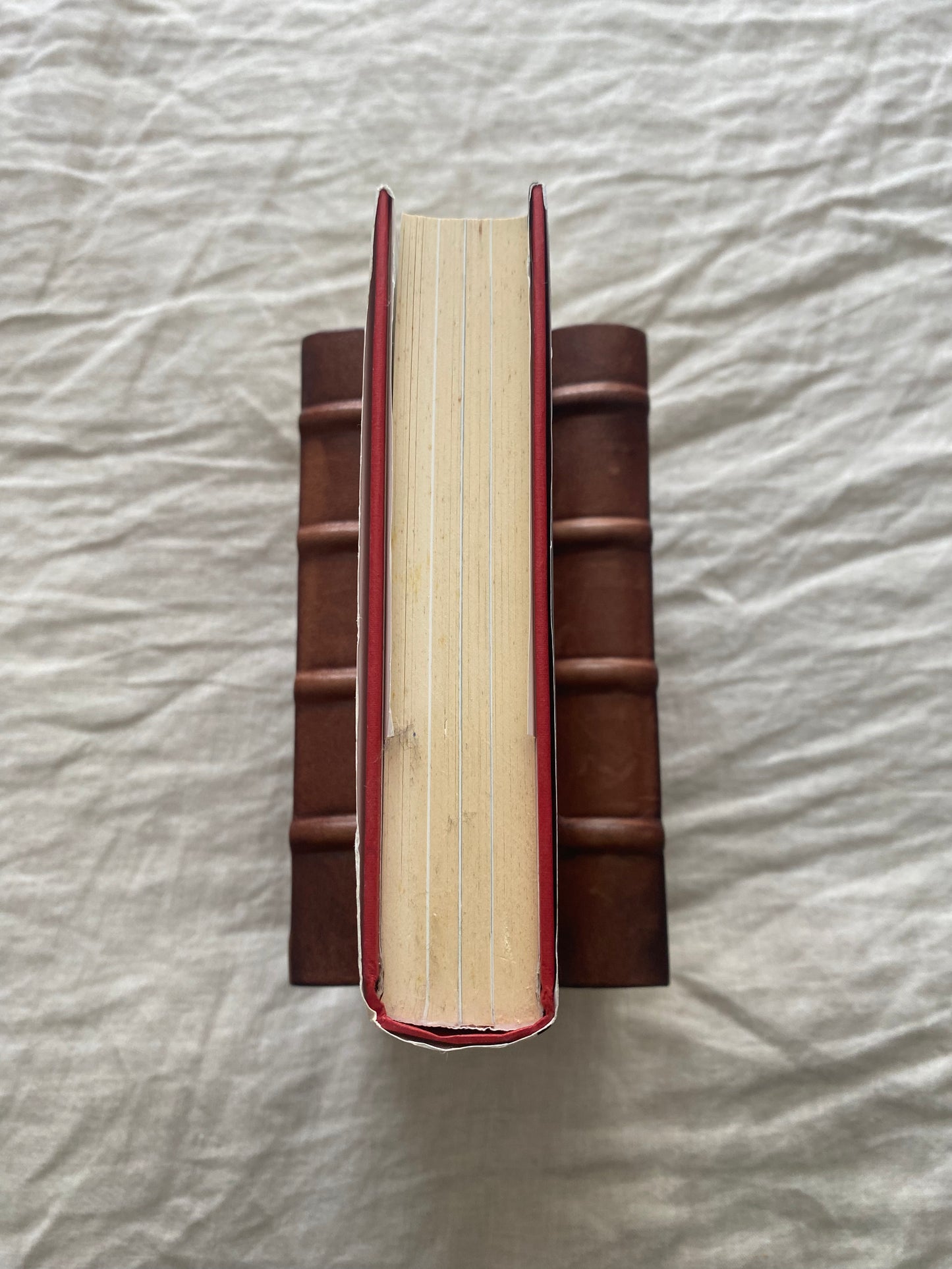 The Ghost of '66: The Autobiography