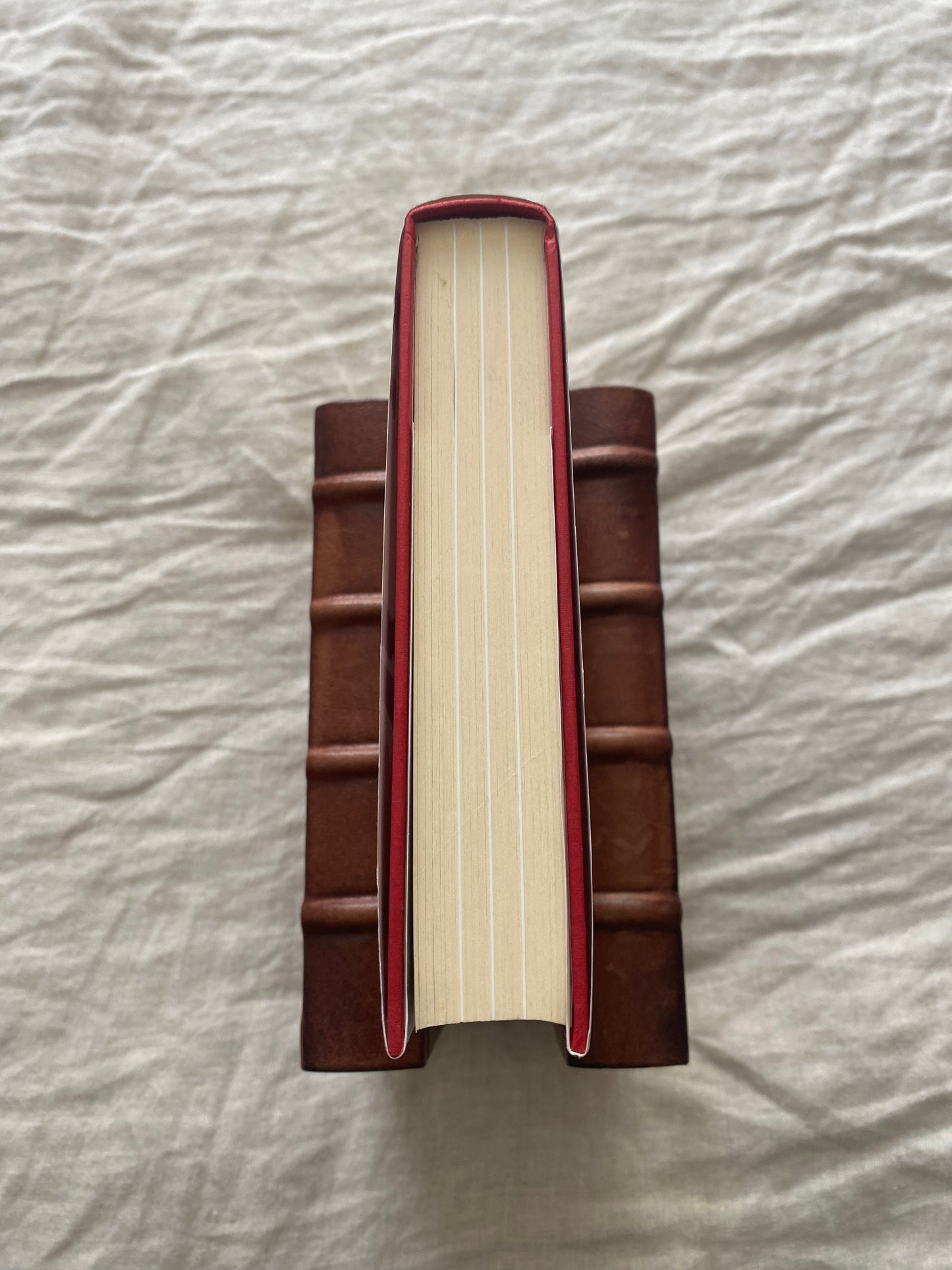 The Ghost of '66: The Autobiography