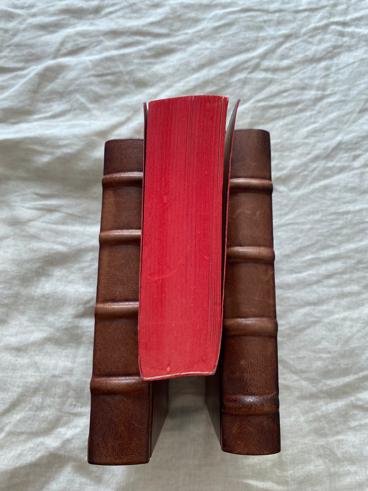 Twilight (The Twilight Saga #1) (Signed by Robert Pattinson)