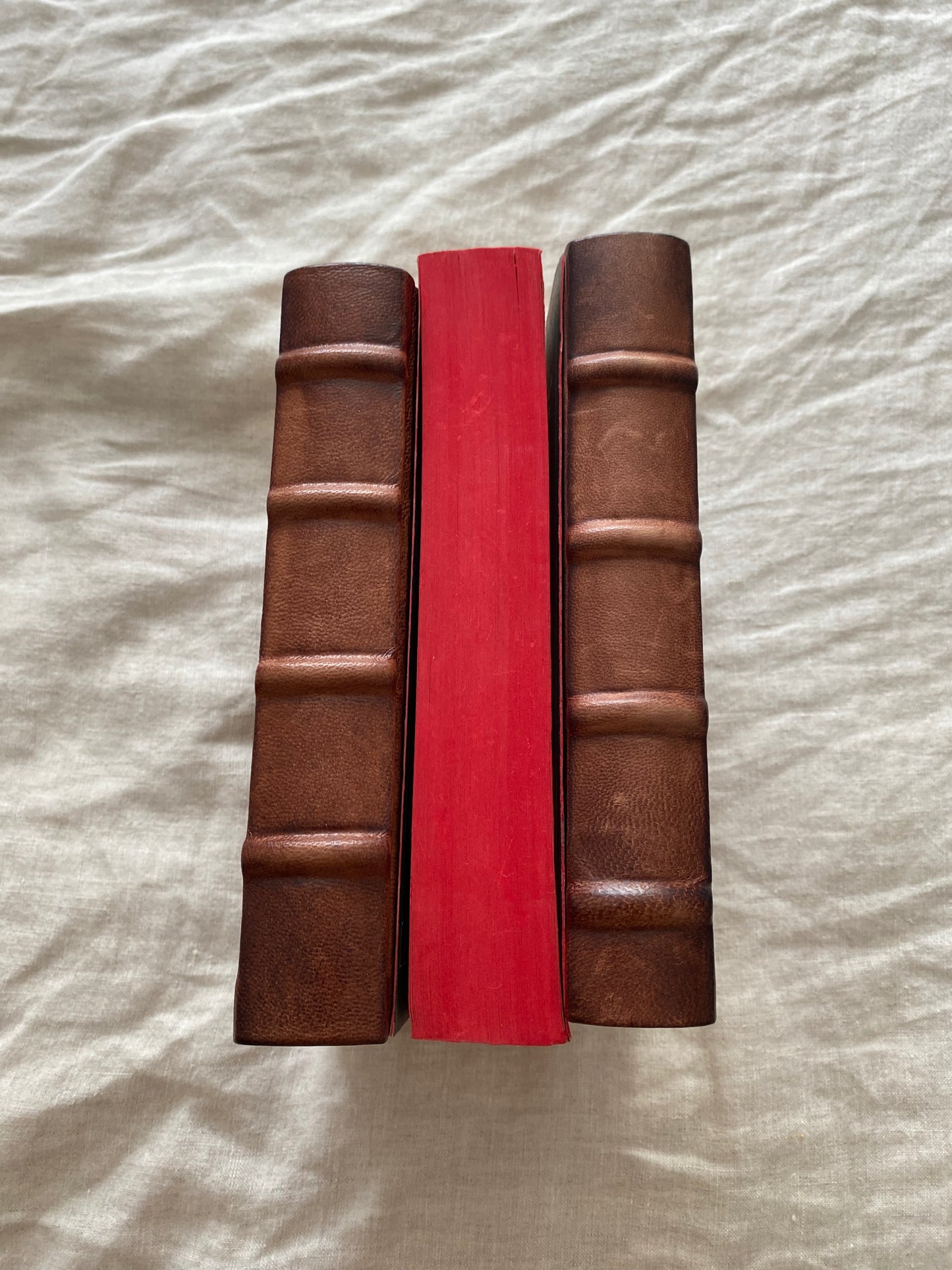 Twilight (The Twilight Saga #1) (Signed by Robert Pattinson)