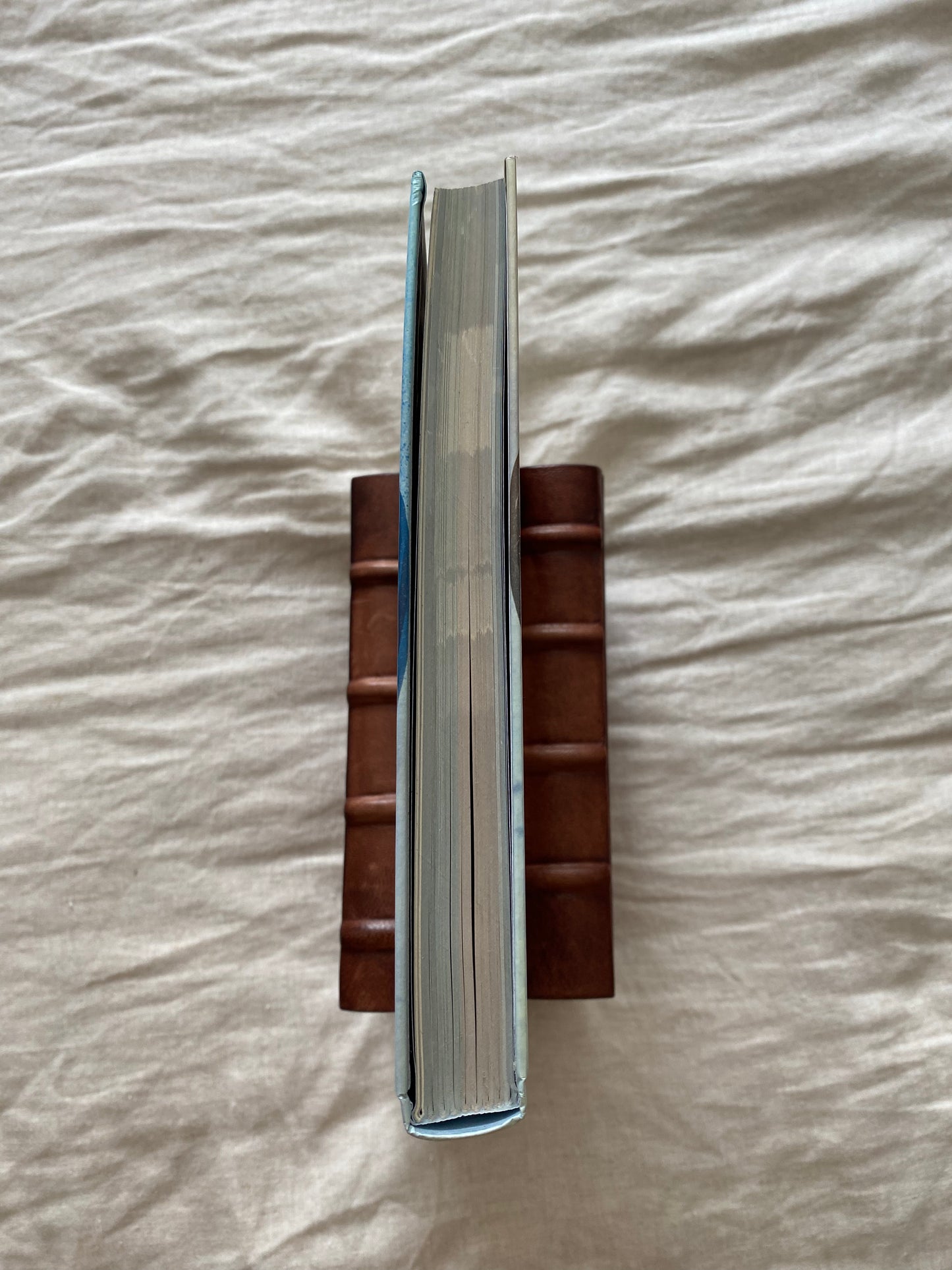 Halo 5: Guardians - Collector's Edition Strategy Guide