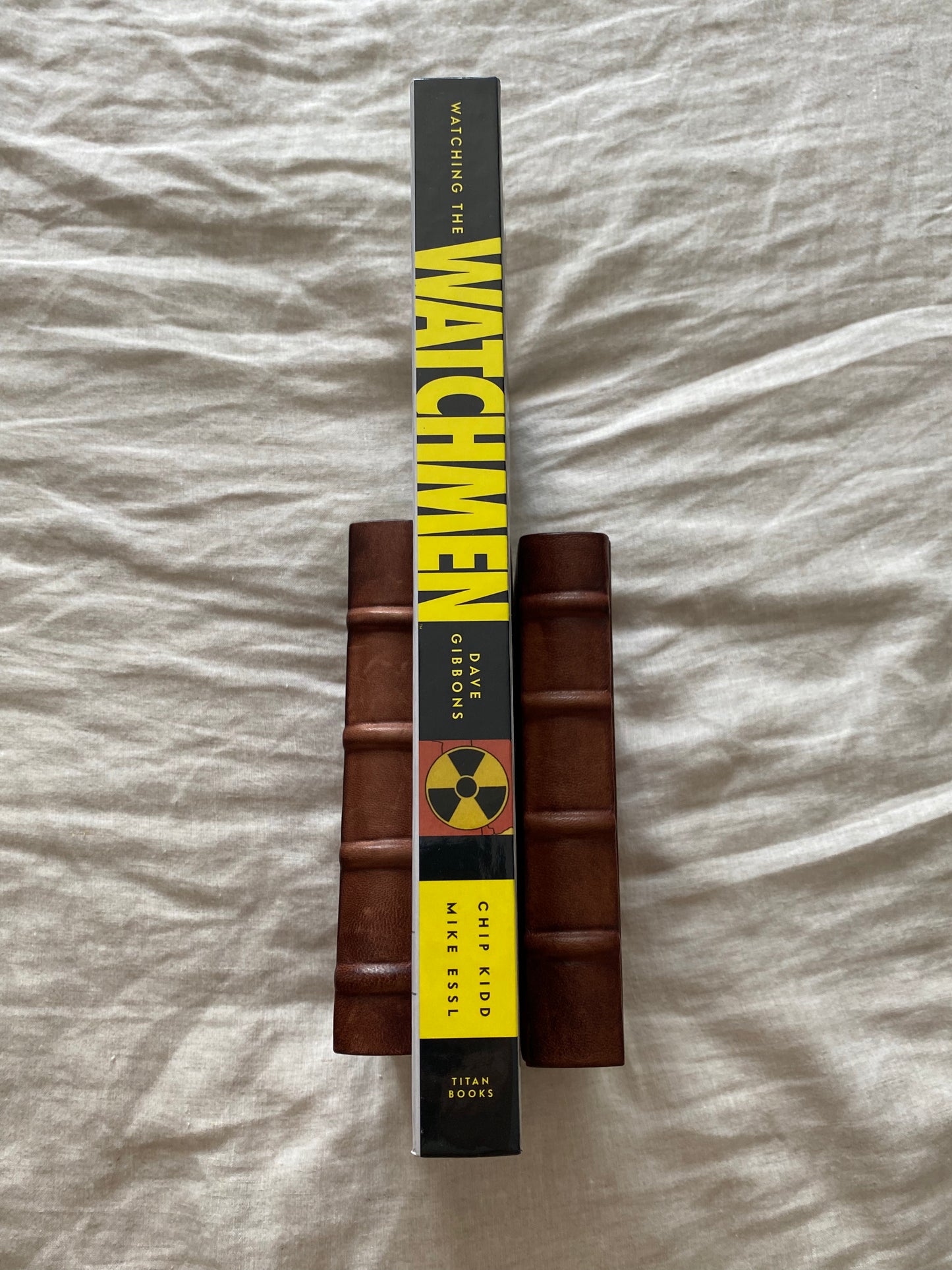 Watching the Watchmen