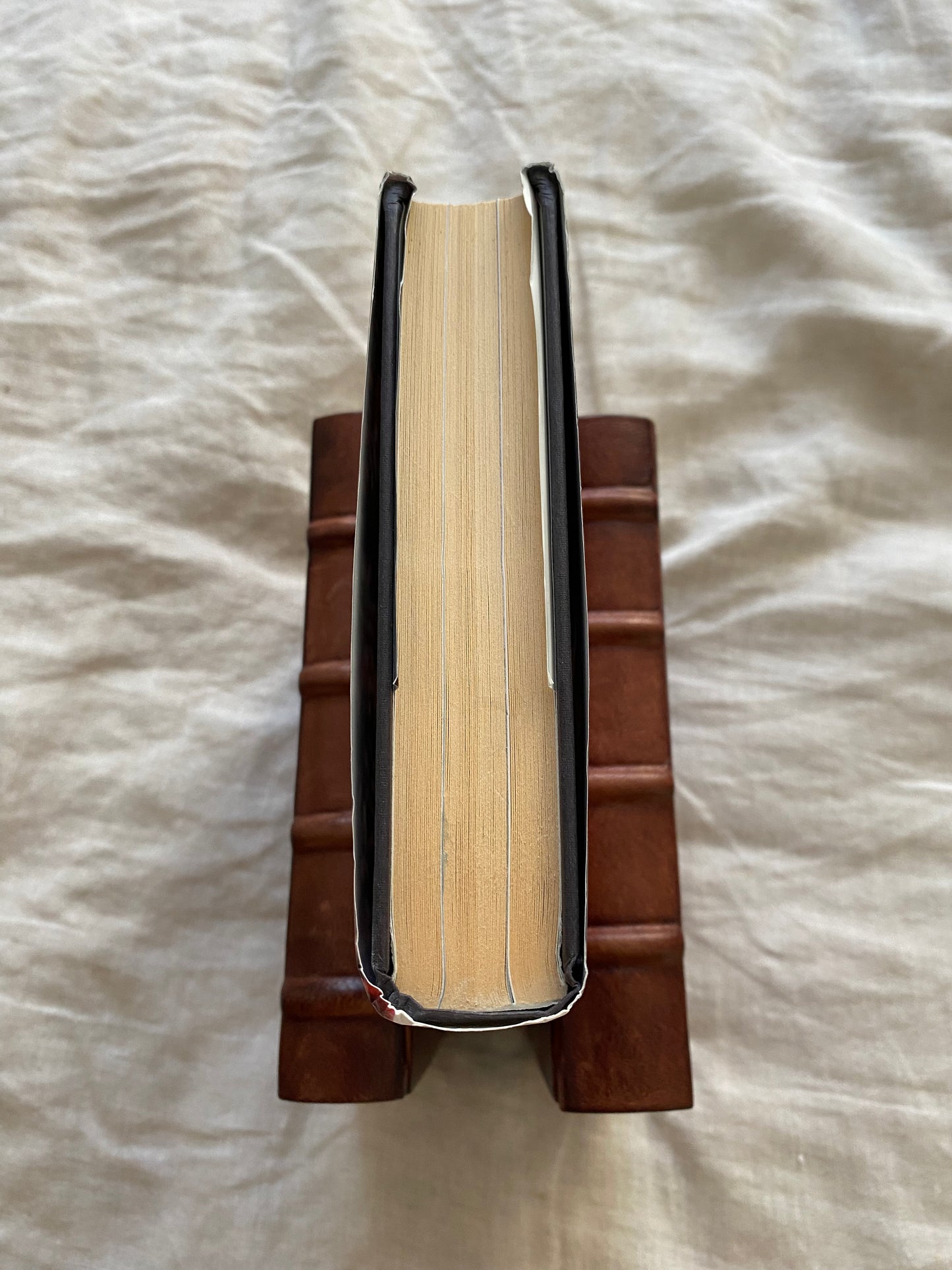 My Idea of Fun: The Autobiography