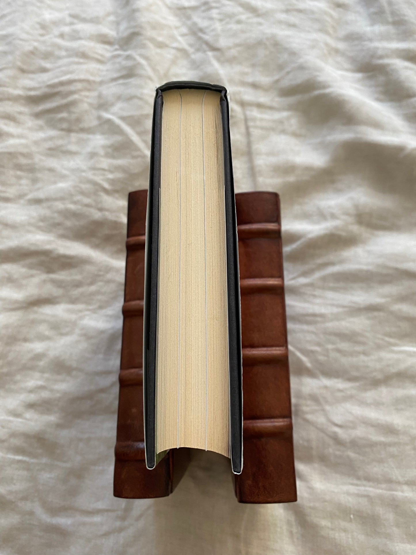 My Idea of Fun: The Autobiography