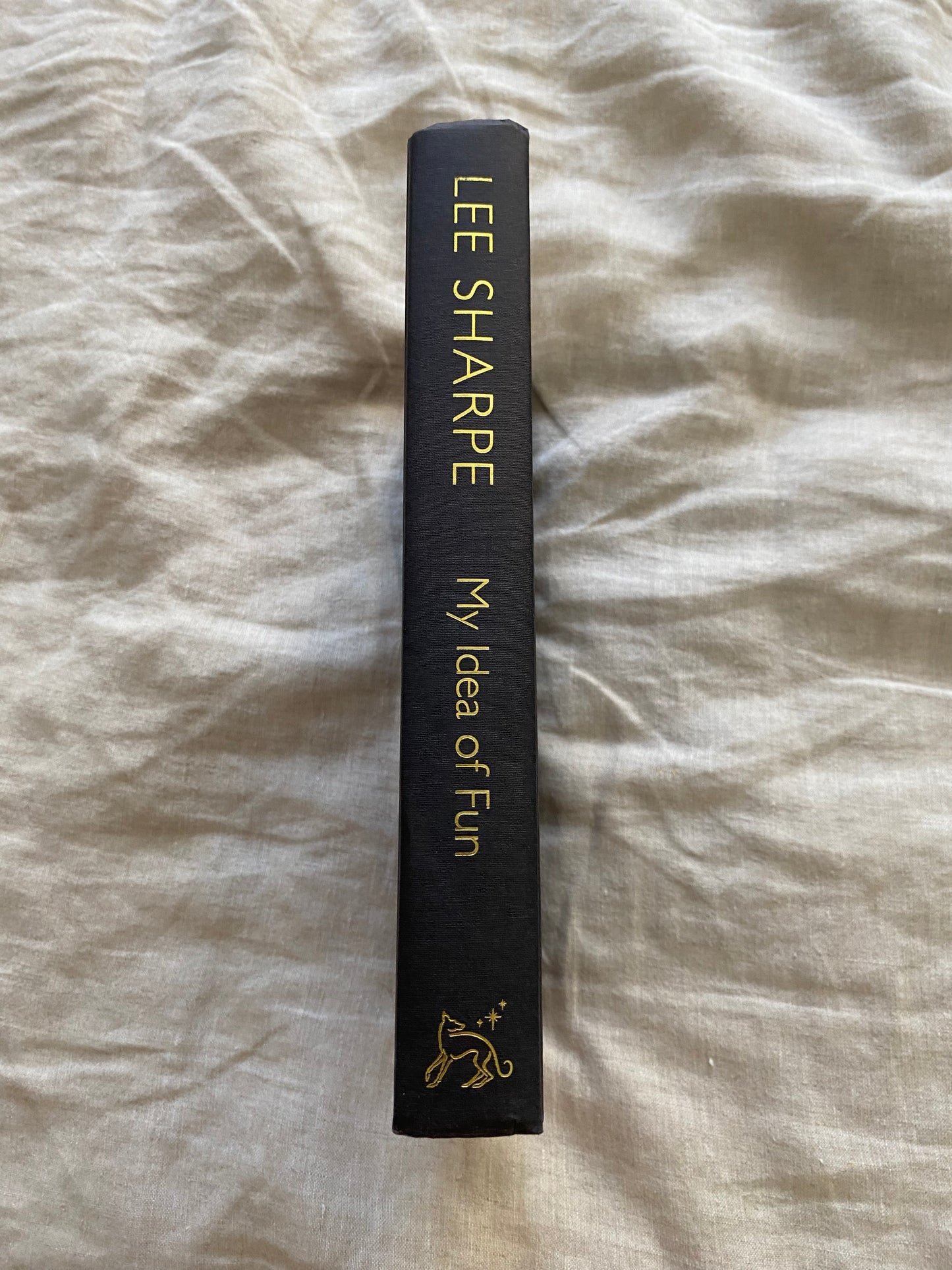 My Idea of Fun: The Autobiography