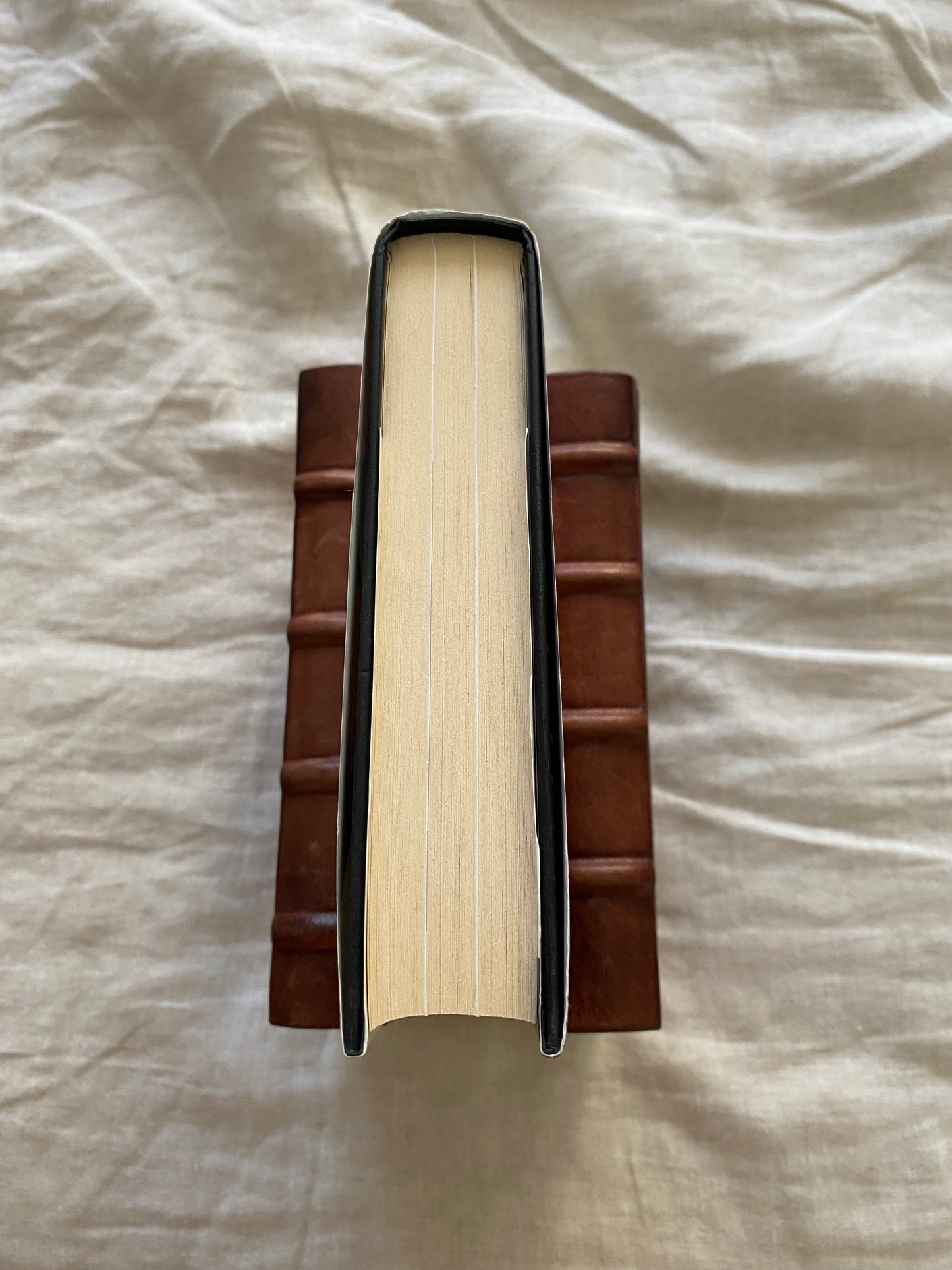 Lost and Found: My Story