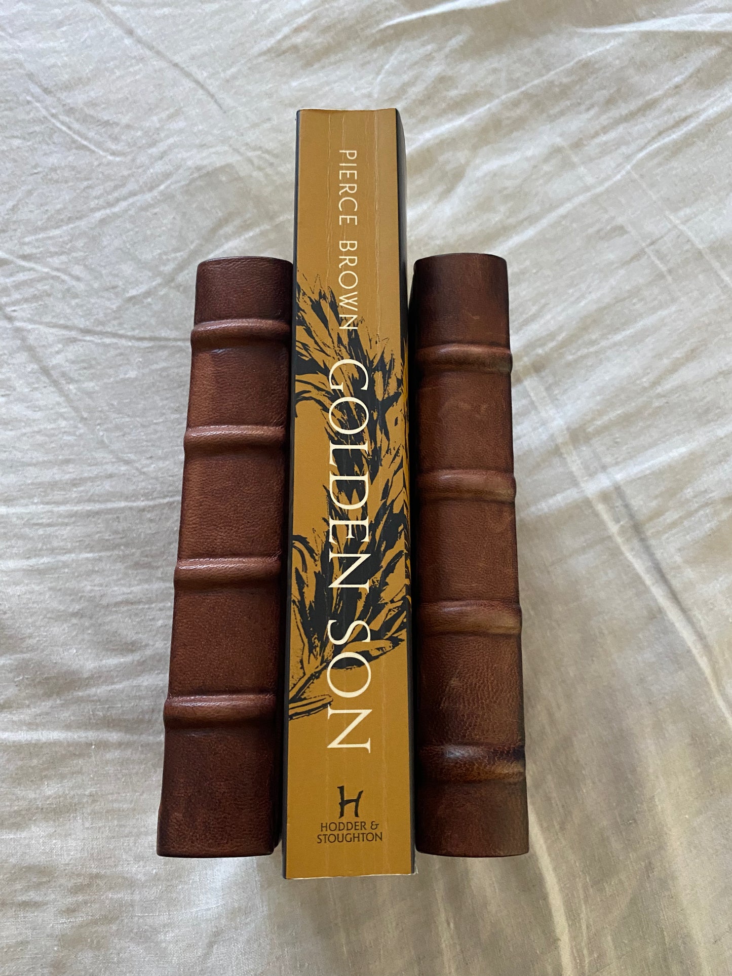 Golden Son (Red Rising Saga #2)