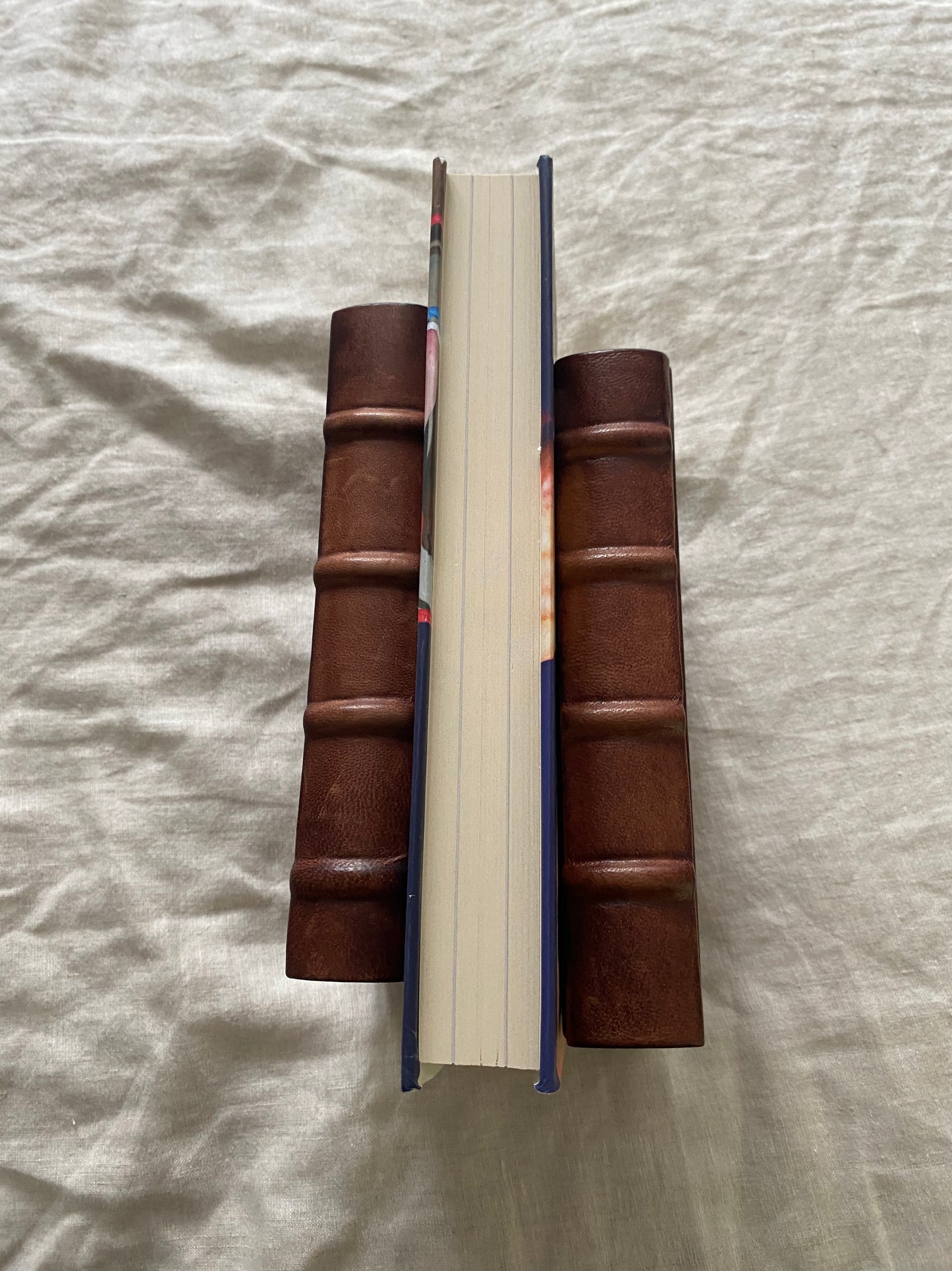 When Fury Takes Over: Life, the Furys and Me