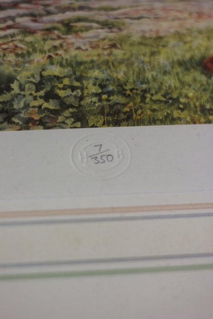 'Ringside Seat' (No. 7 of 350), Fine Print