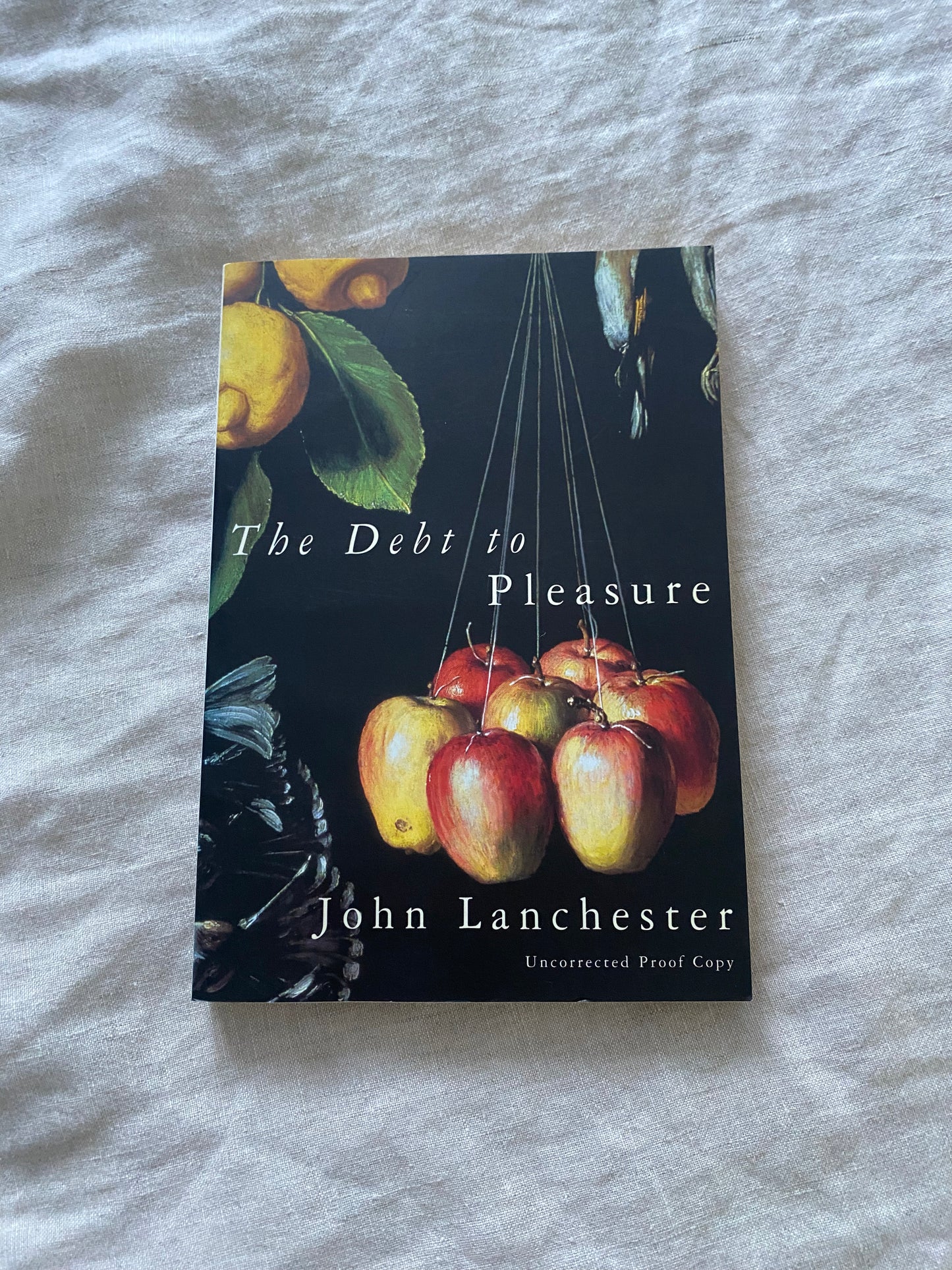 Debt to Pleasure (No. 163 of 600)