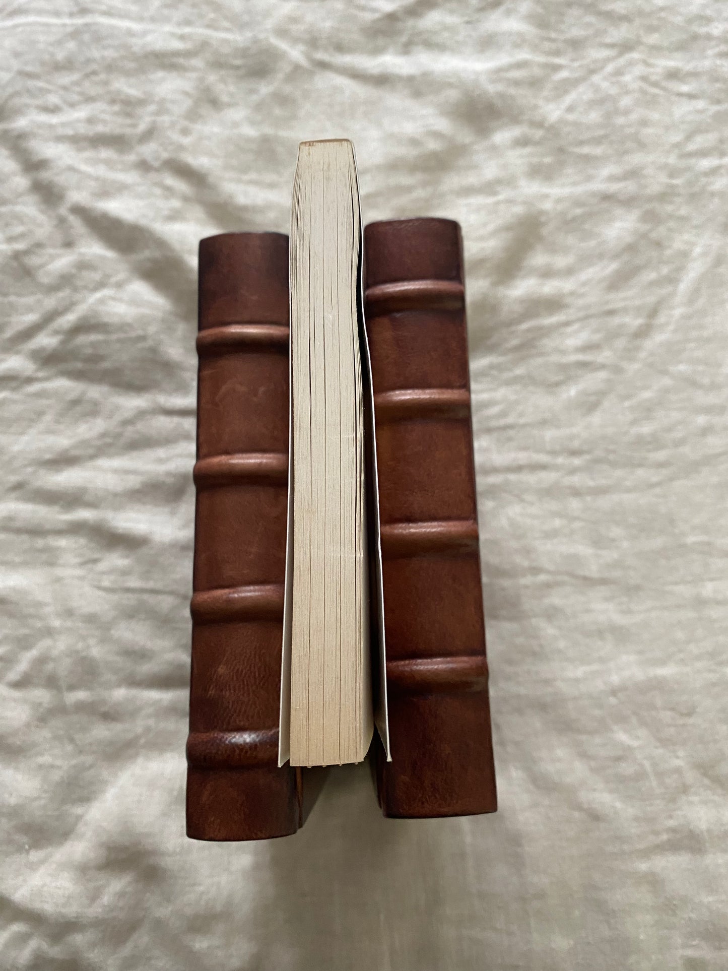 Debt to Pleasure (No. 163 of 600)