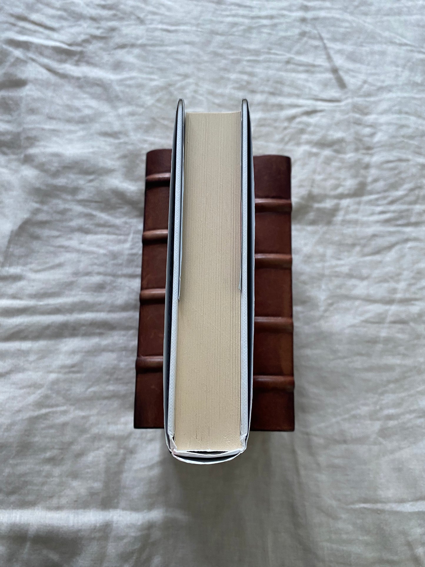 The Lost Book of the White (The Eldest Curses Series #2)