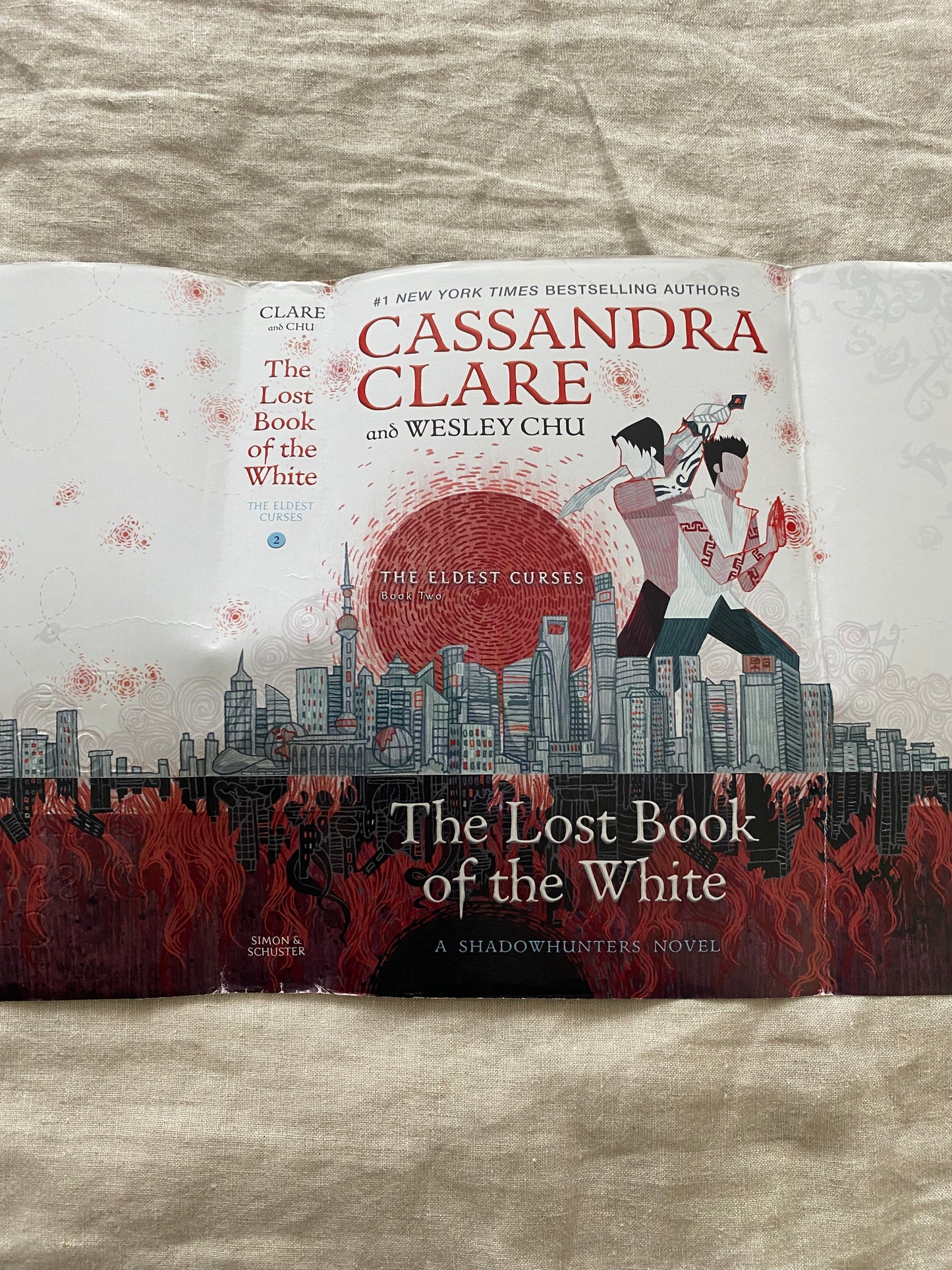 The Lost Book of the White (The Eldest Curses Series #2)