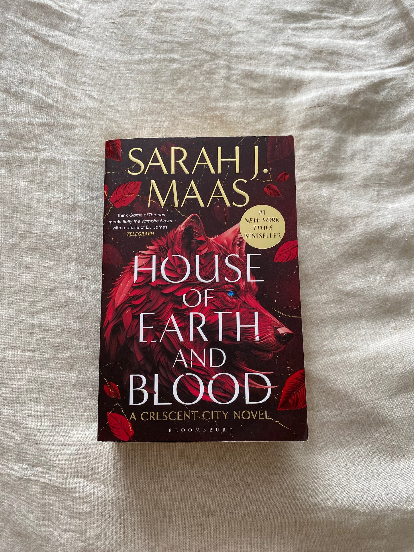 House of Earth and Blood (Crescent City Series #1)