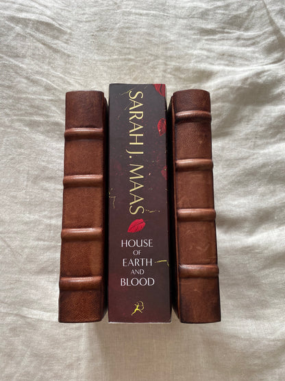 House of Earth and Blood (Crescent City Series #1)