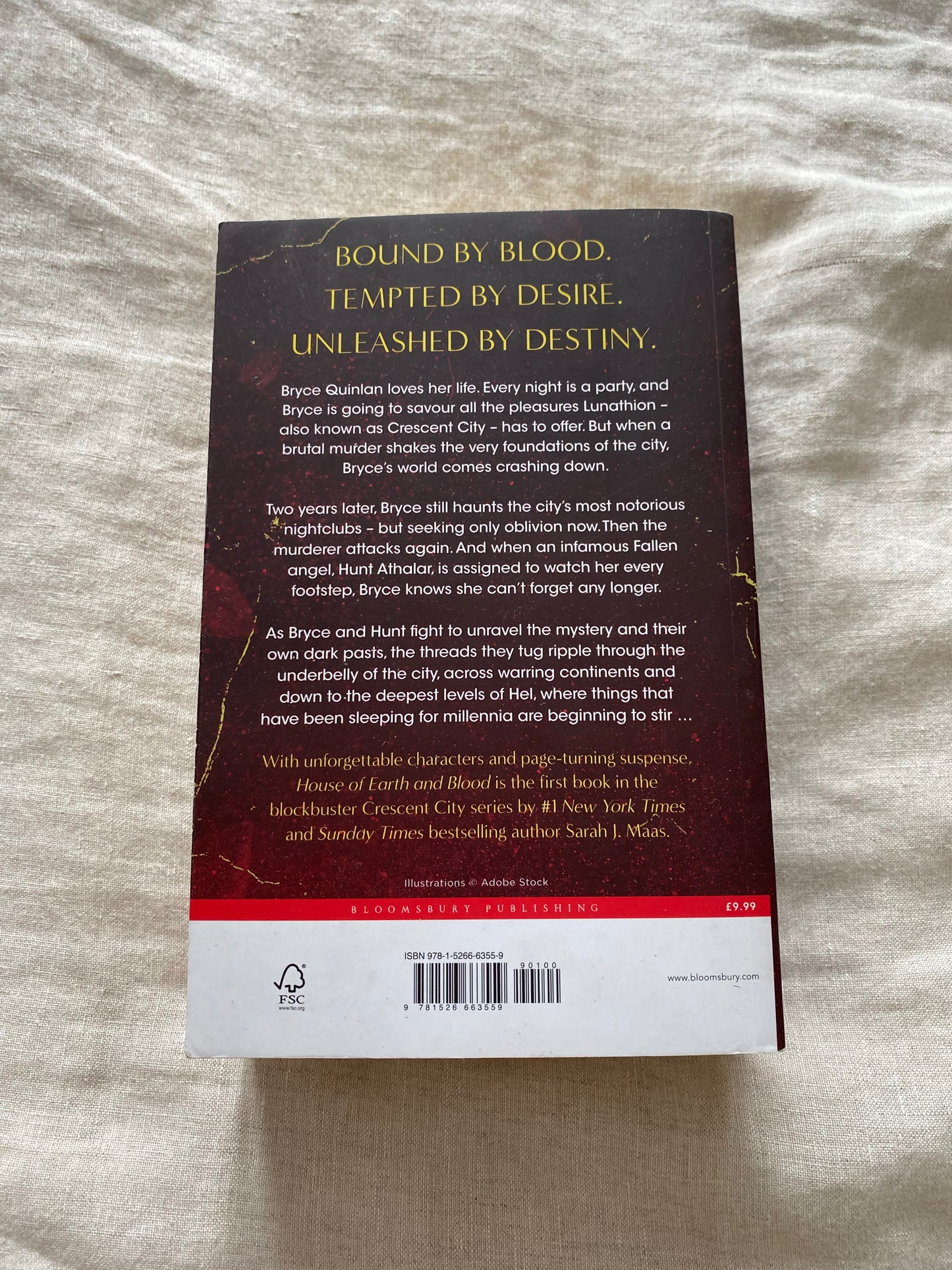 House of Earth and Blood (Crescent City Series #1)