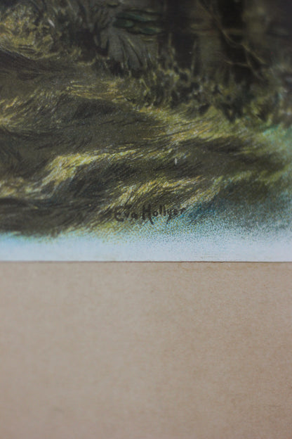 'Countryside Companions', Photogravure Chromolithograph Print