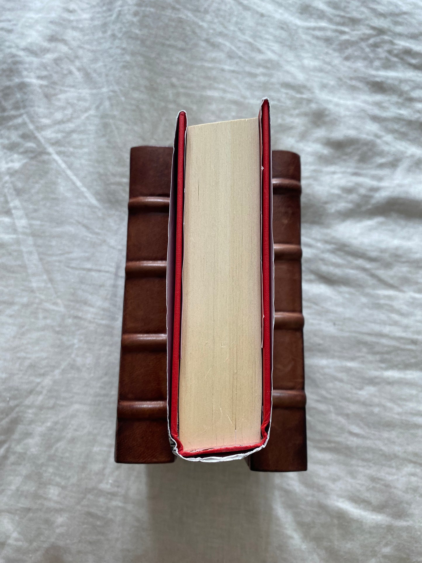 Amongst Our Weapons (Rivers of London Series #9)