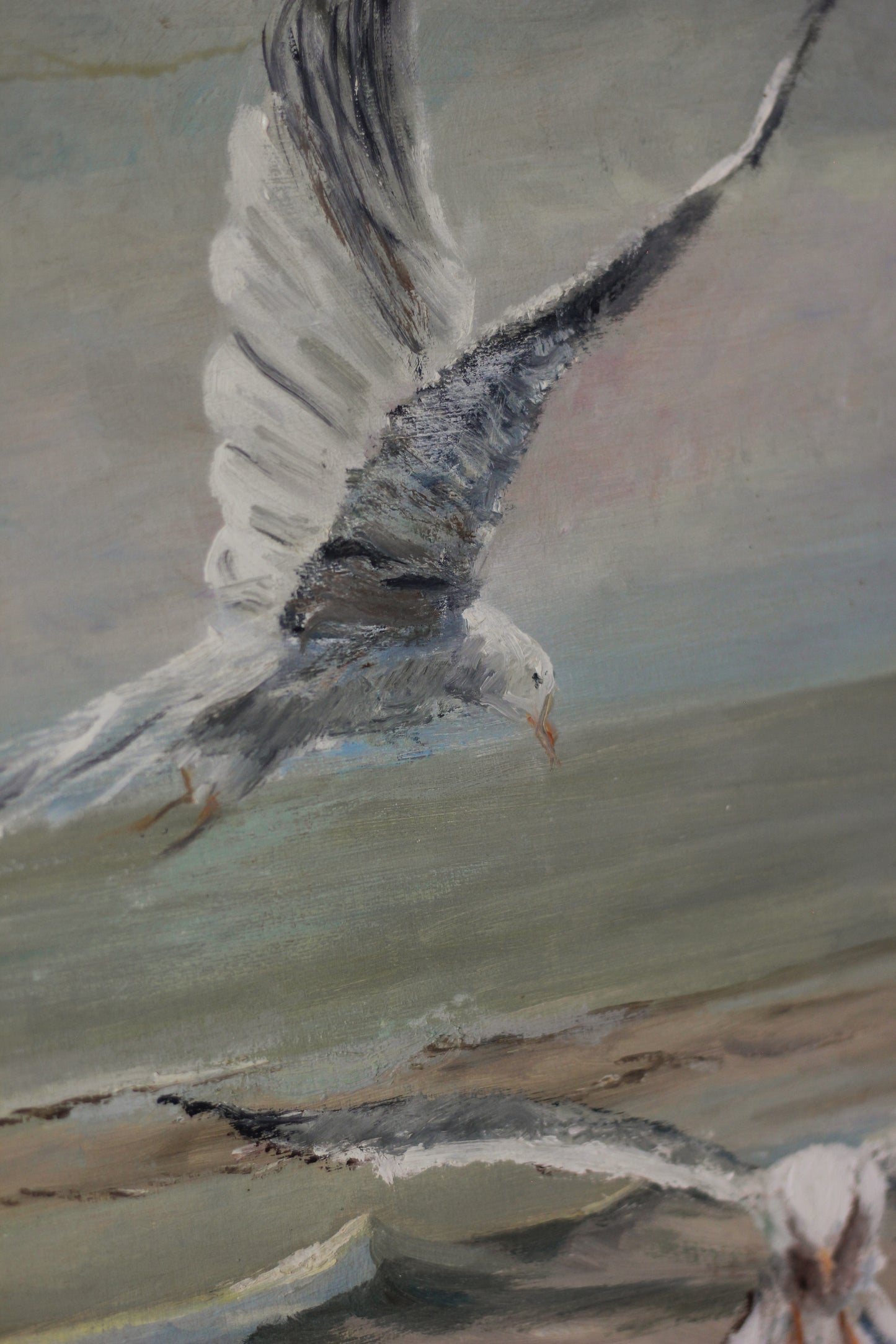 "Scavenging" Seagulls over Waves, Oil on Board