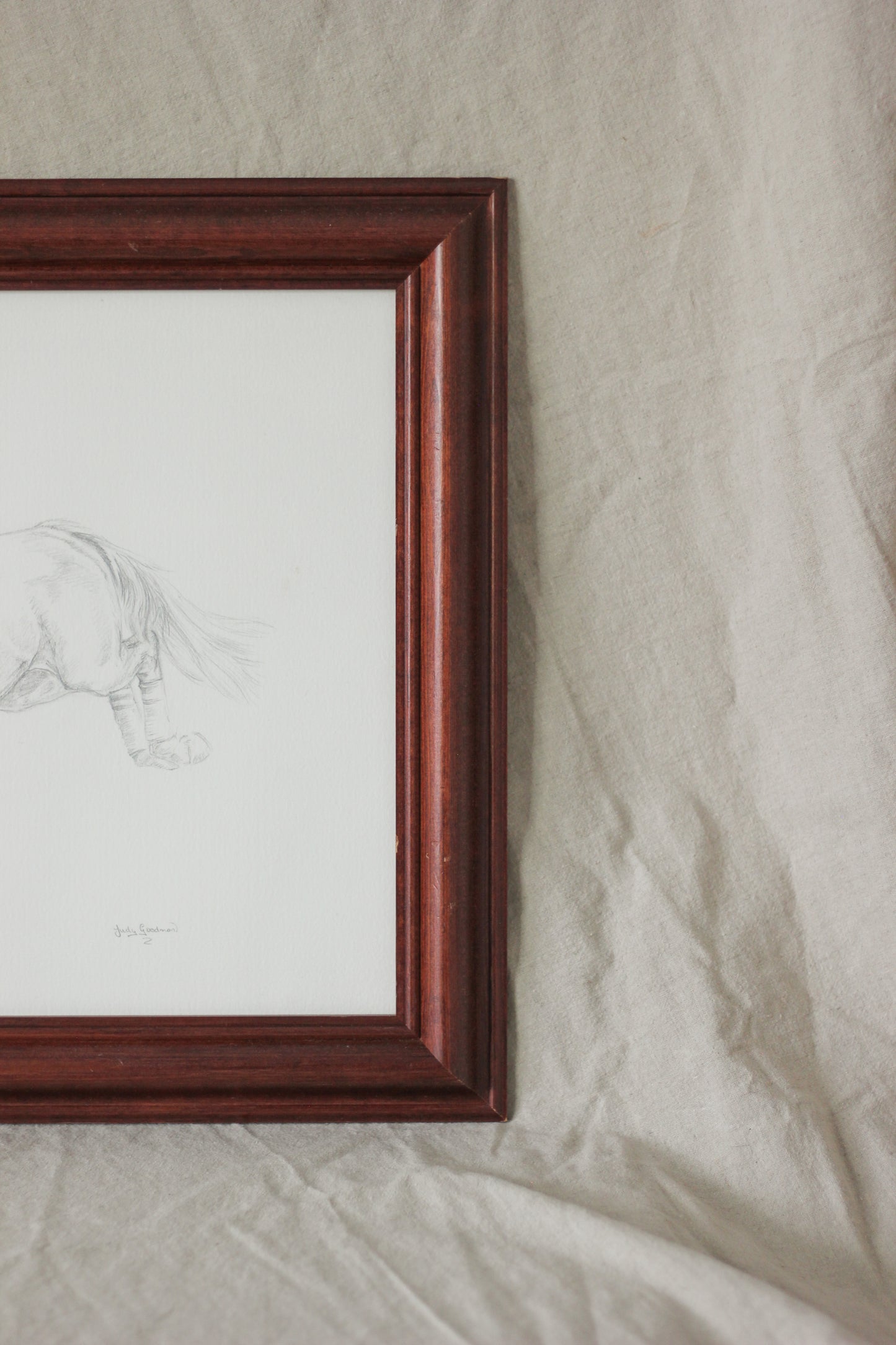 'Murphy Himself', Pencil and Gouache on Paper