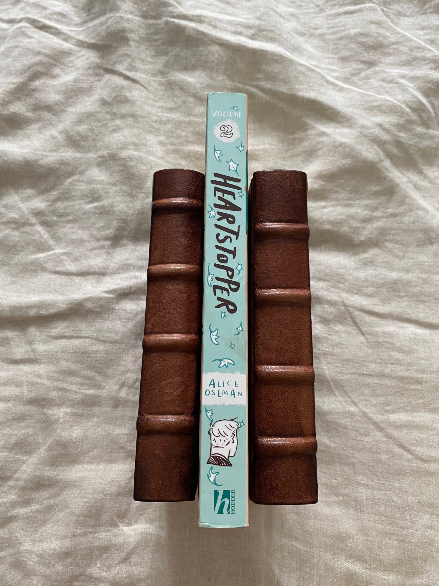 Heartstopper Vol. 2