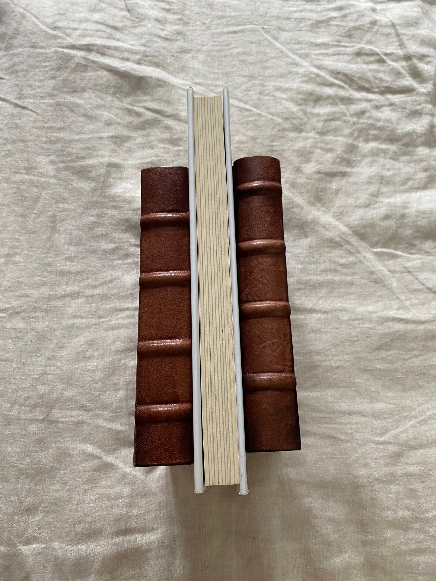 Yes She Can: Why Women Own The Future