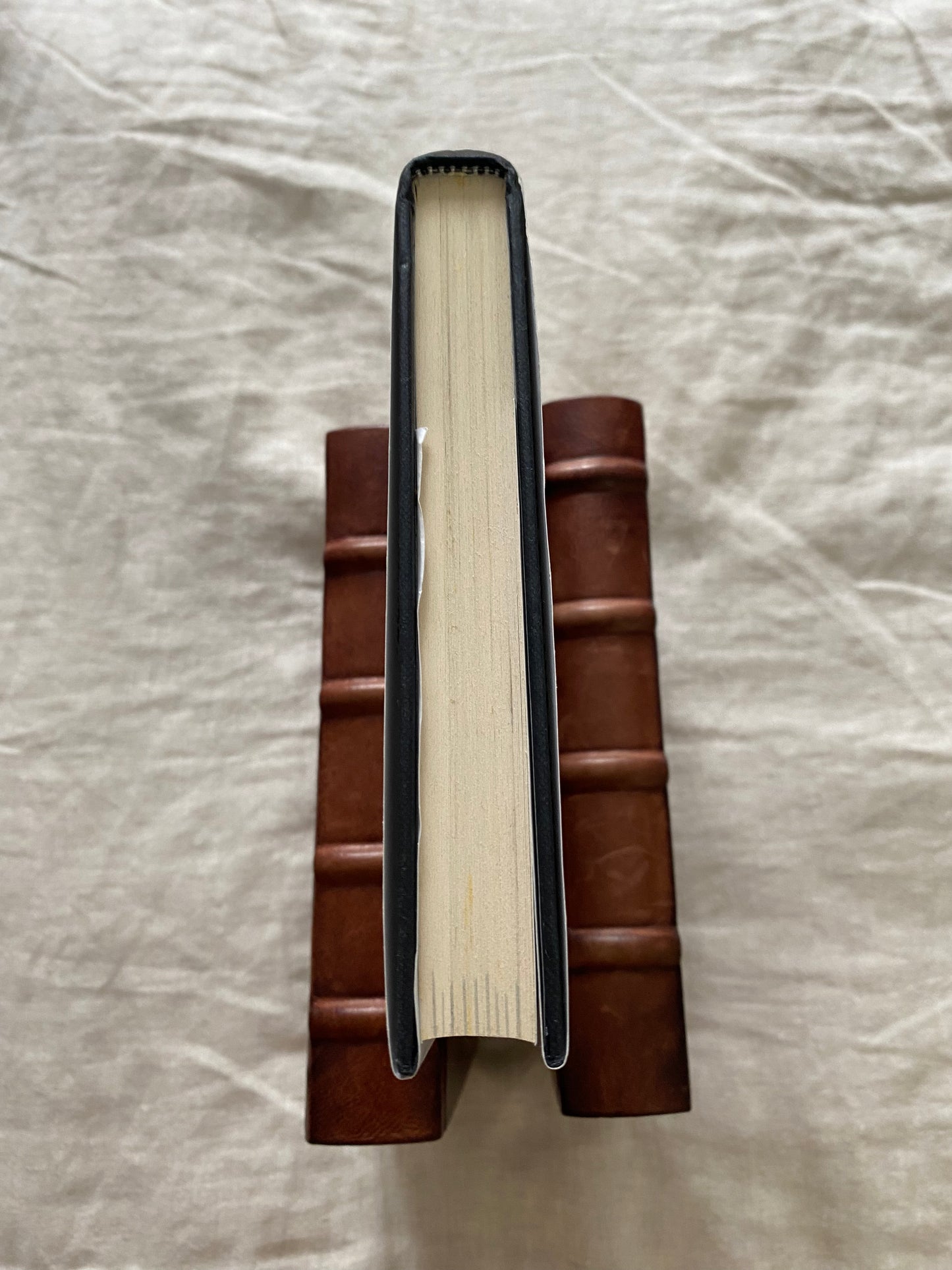 Yes She Can: Why Women Own The Future