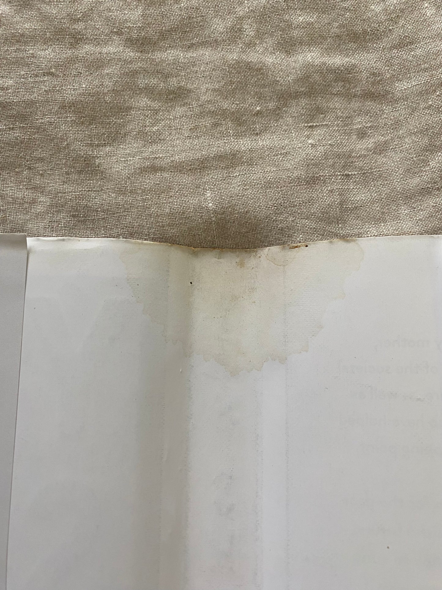 Yes She Can: Why Women Own The Future