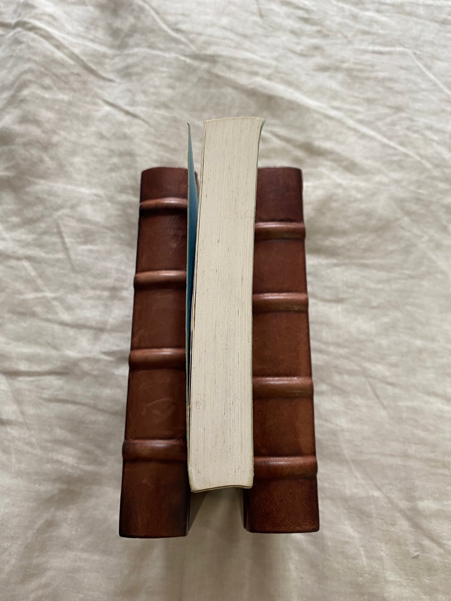 A Coat of Varnish