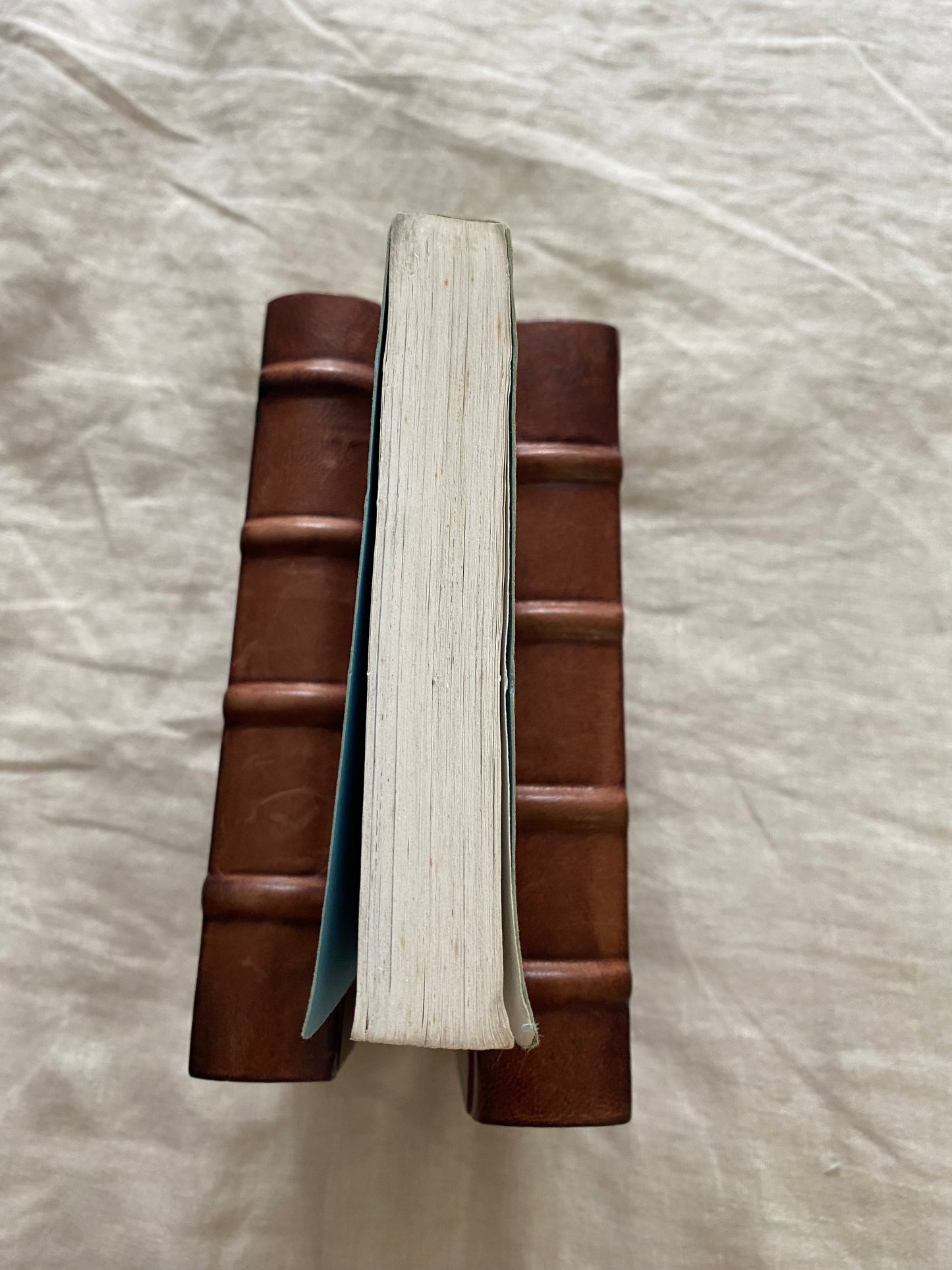 A Coat of Varnish