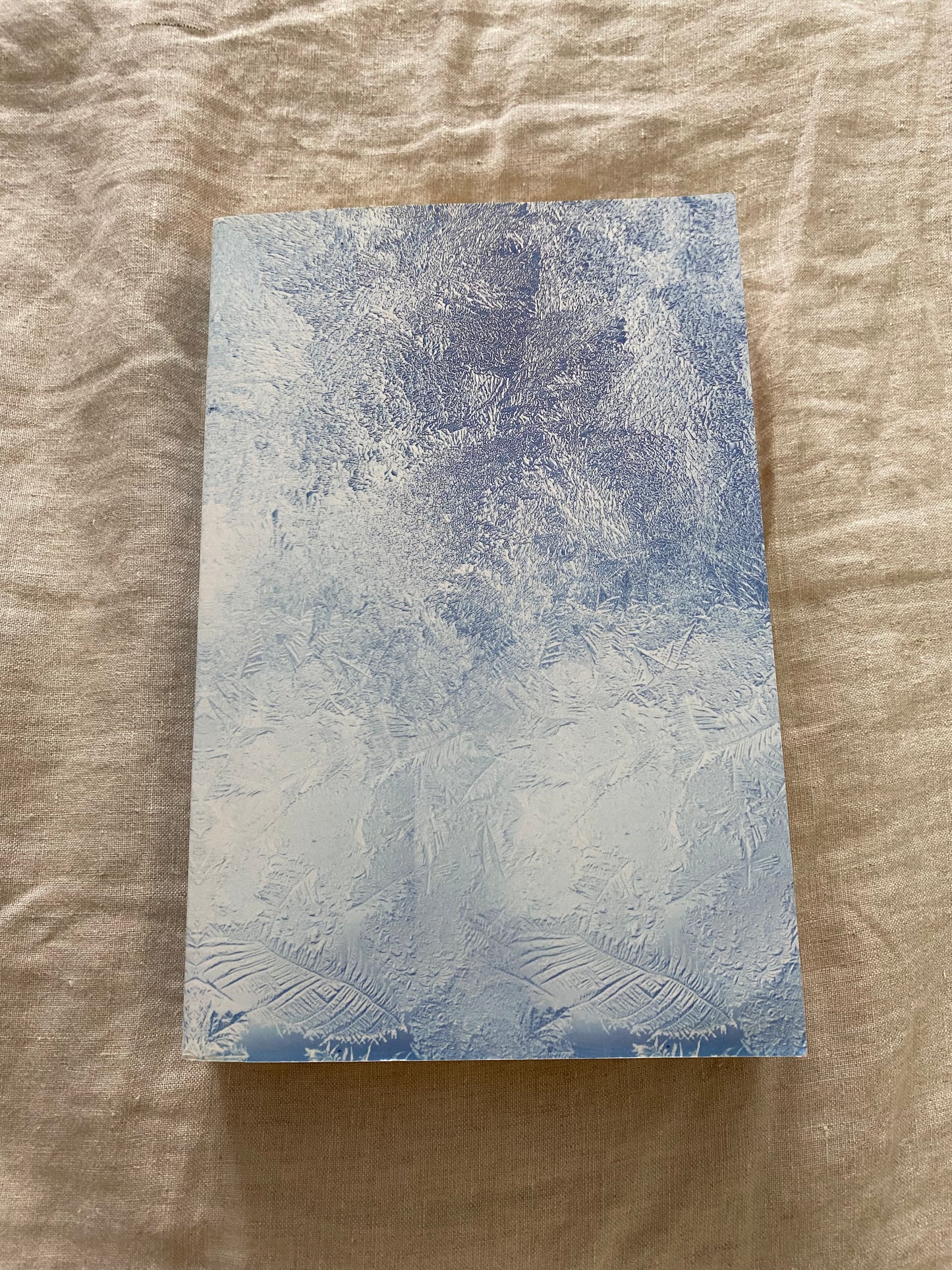 The Last Winter of Dani Lancing