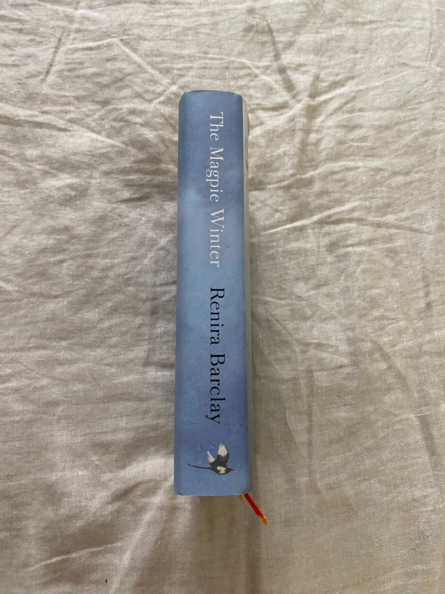 The Magpie Winter: A Ghost Story