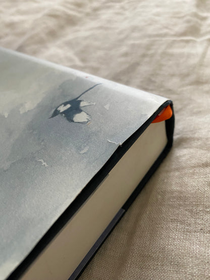 The Magpie Winter: A Ghost Story
