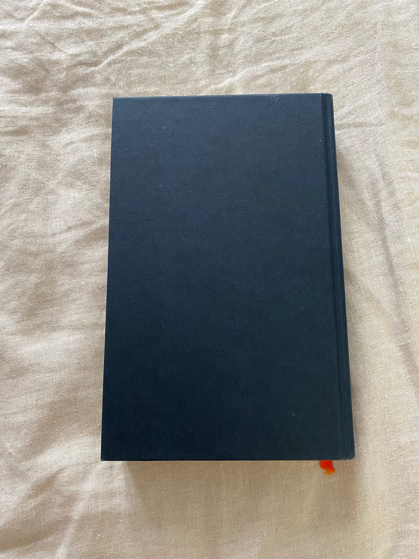 The Magpie Winter: A Ghost Story