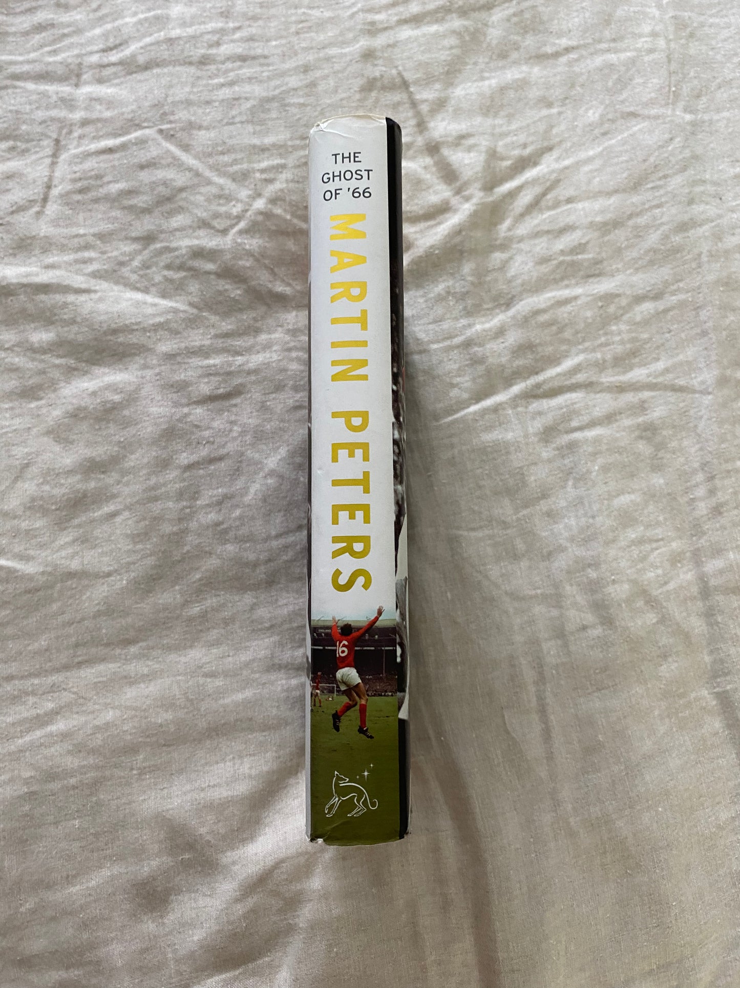 The Ghost of '66: My Autobiography