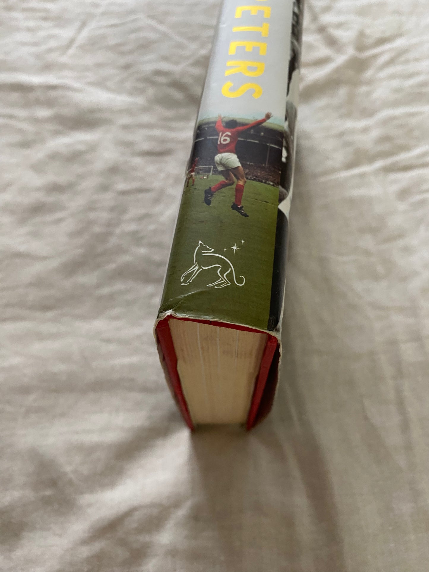 The Ghost of '66: My Autobiography