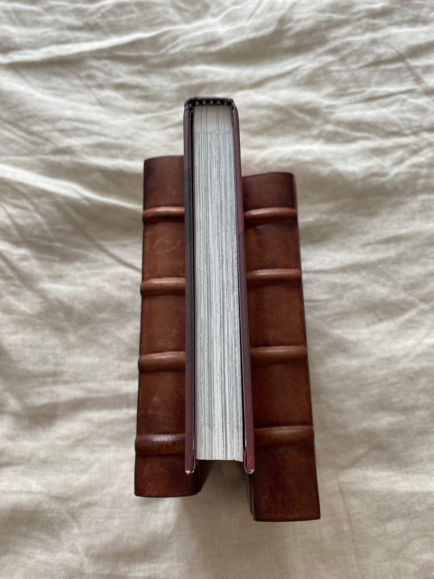 Fullmetal Alchemist: Fullmetal Edition, Volume 1 (Fullmetal Alchemist Series)