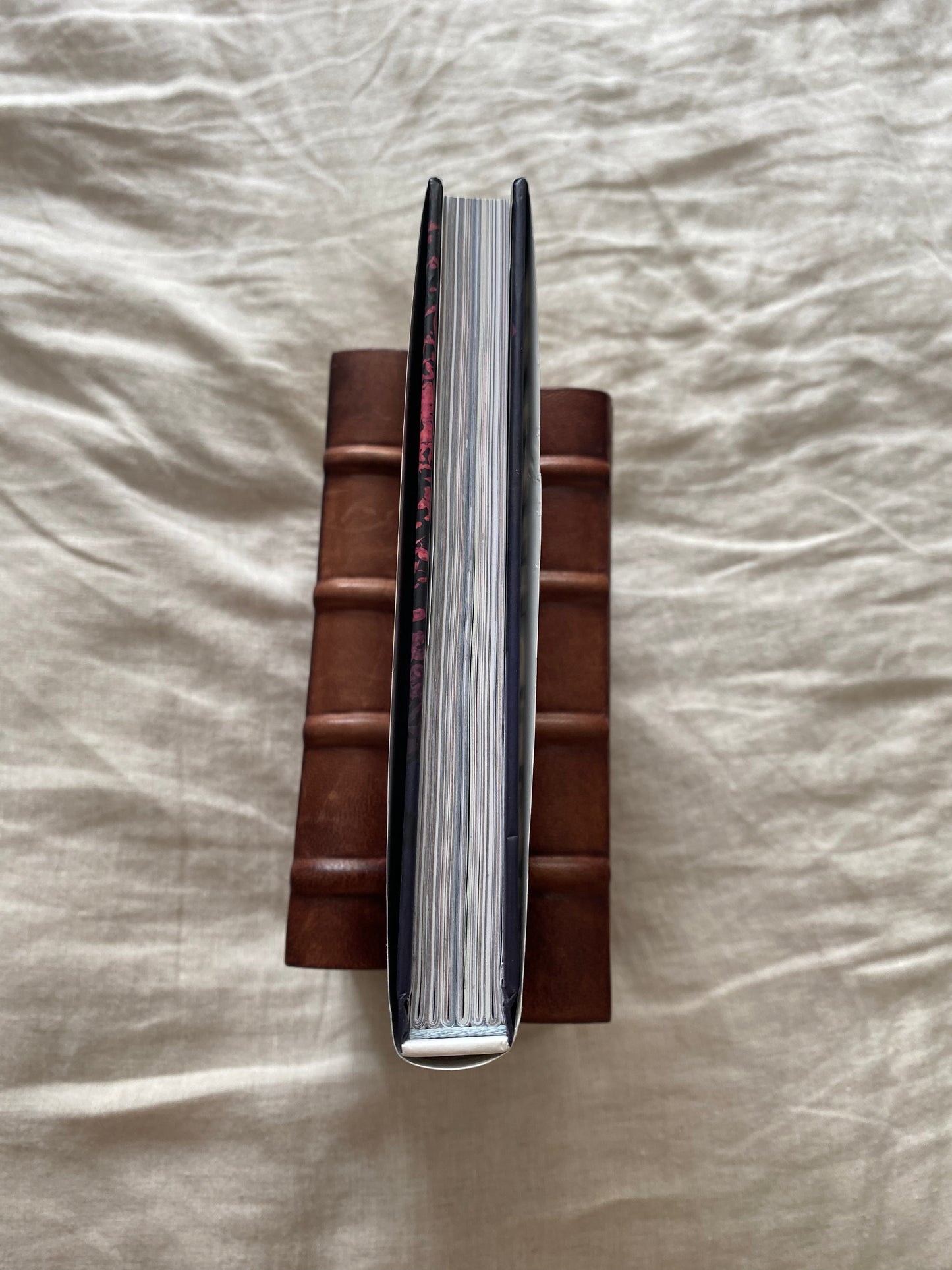 Username: Evie Collector's Edition (Username Series #1)
