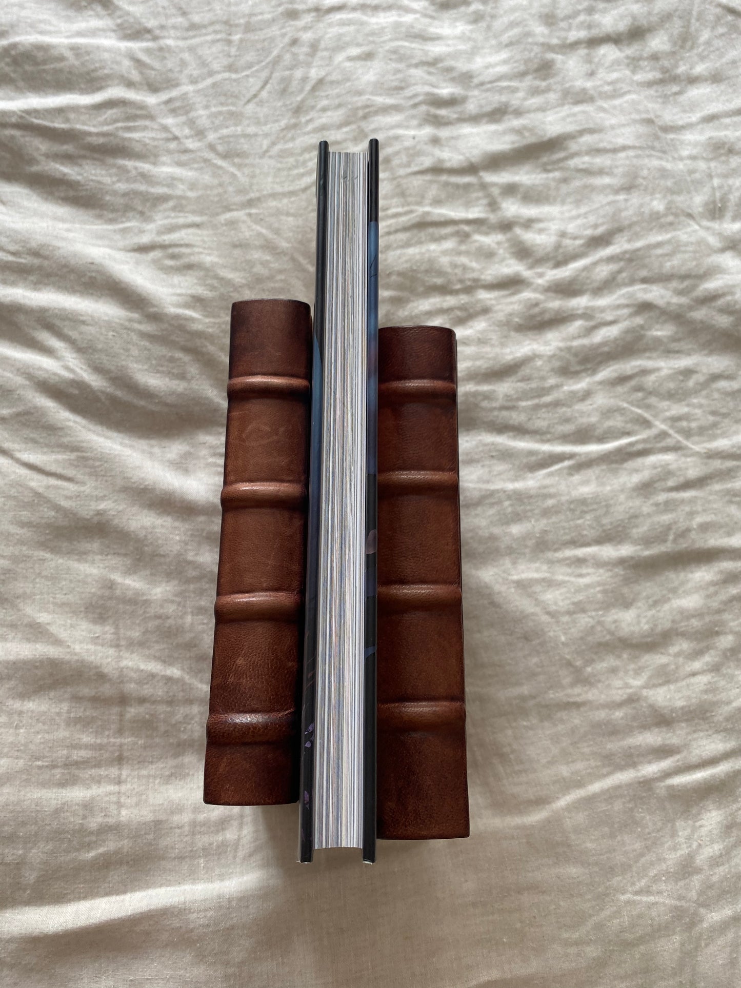 Username: Evie Collector's Edition (Username Series #1)