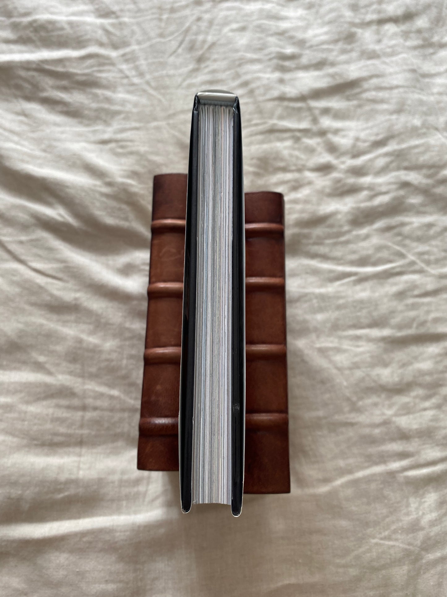 Username: Evie Collector's Edition (Username Series #1)
