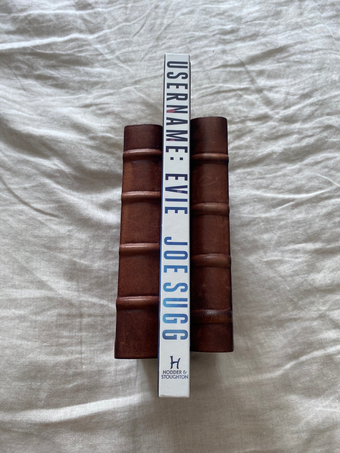 Username: Evie Collector's Edition (Username Series #1)