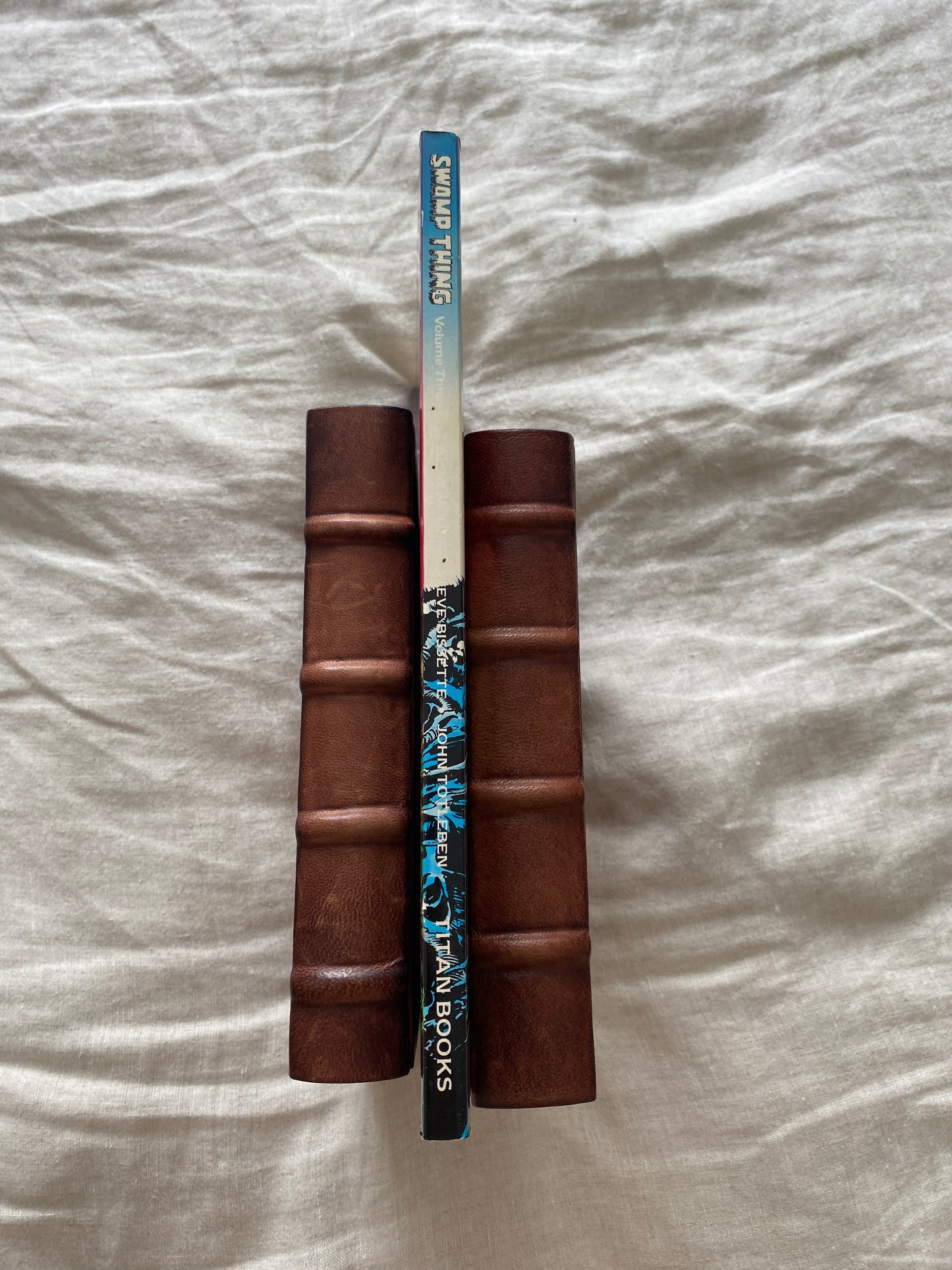 Swamp Thing, Volume 3 (Saga of the Swamp Thing Series)