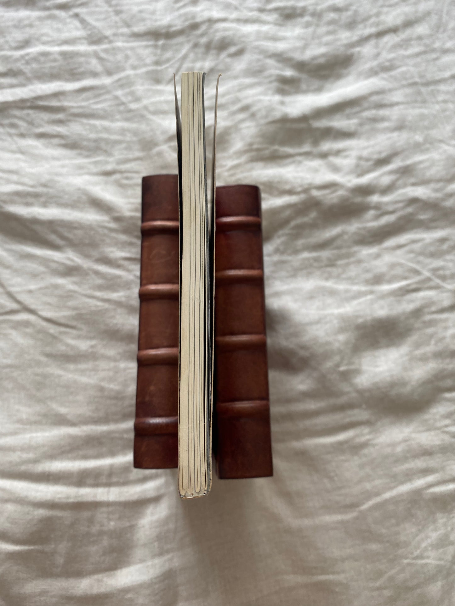 Swamp Thing, Volume 3 (Saga of the Swamp Thing Series)