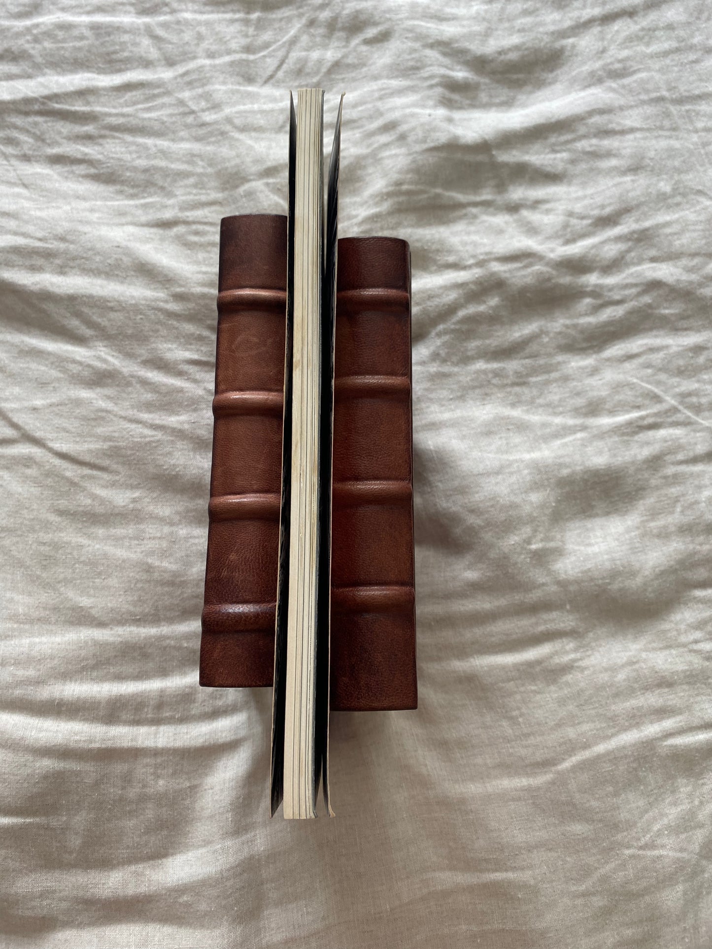 Swamp Thing, Volume 3 (Saga of the Swamp Thing Series)