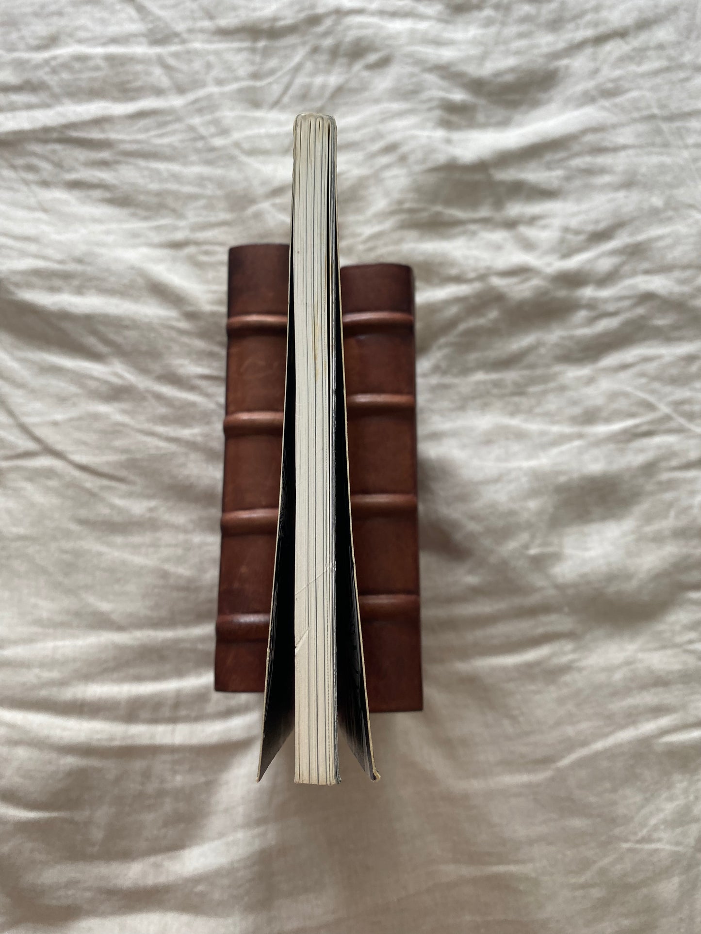 Swamp Thing, Volume 3 (Saga of the Swamp Thing Series)