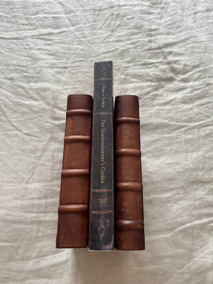 The Shadowhunter's Codex (The Shadowhunter Chronicles: Companion Book)