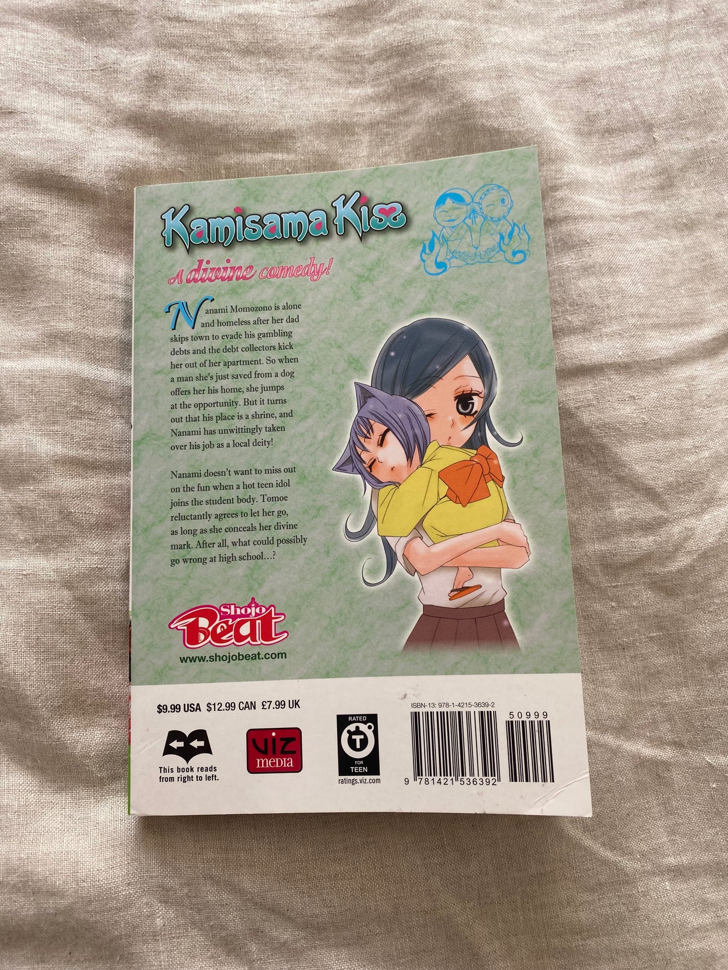 Kamisama Kiss, Volume 2 (Kamisama Kiss Series #2)