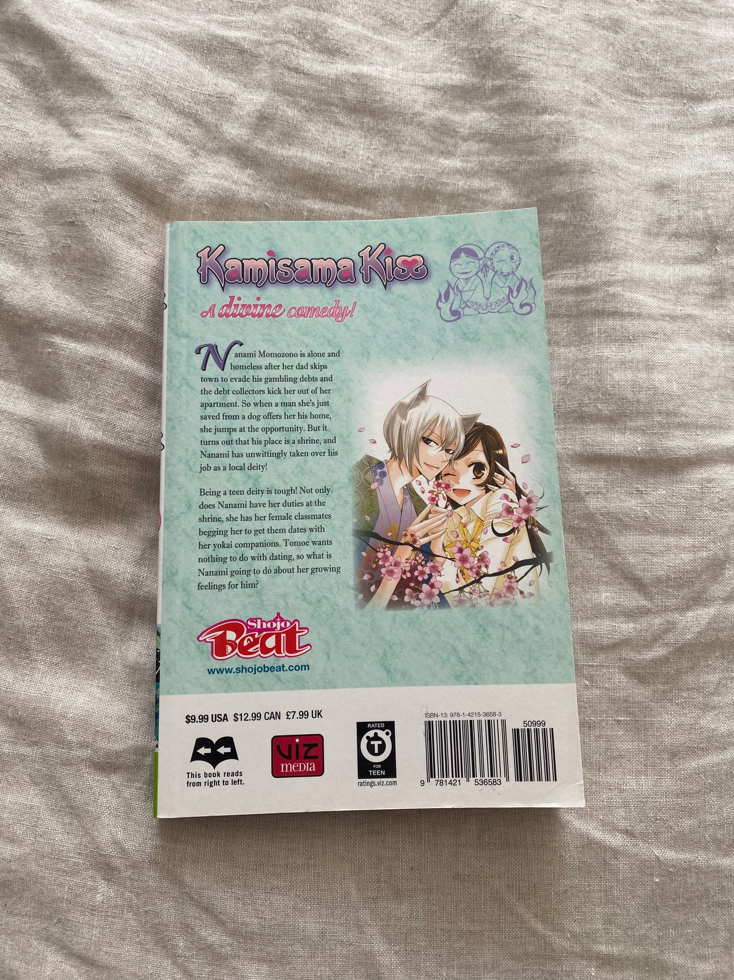 Kamisama Kiss, Volume 4 (Kamisama Kiss Series #4)