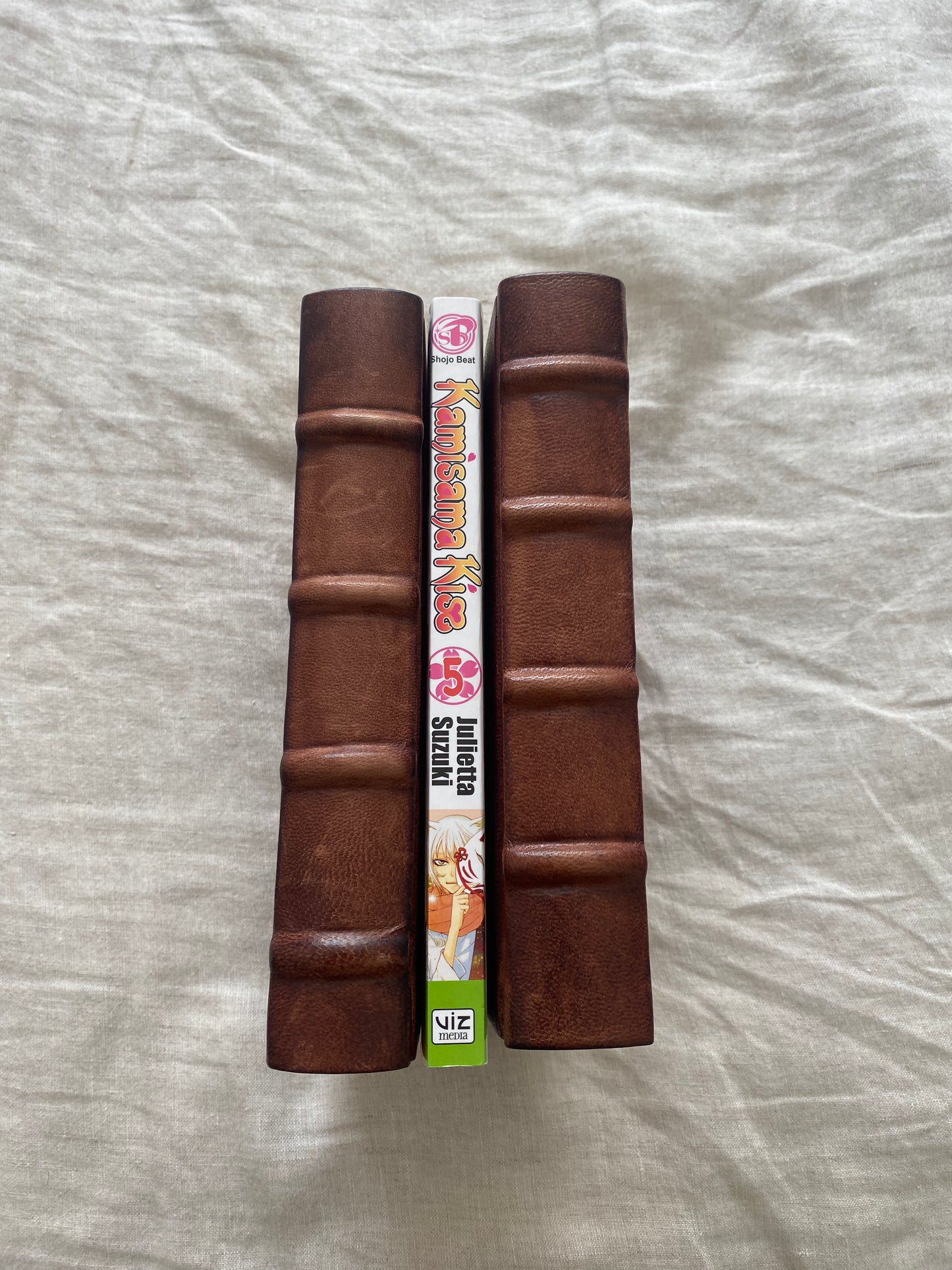 Kamisama Kiss, Volume 5 (Kamisama Kiss Series #5)