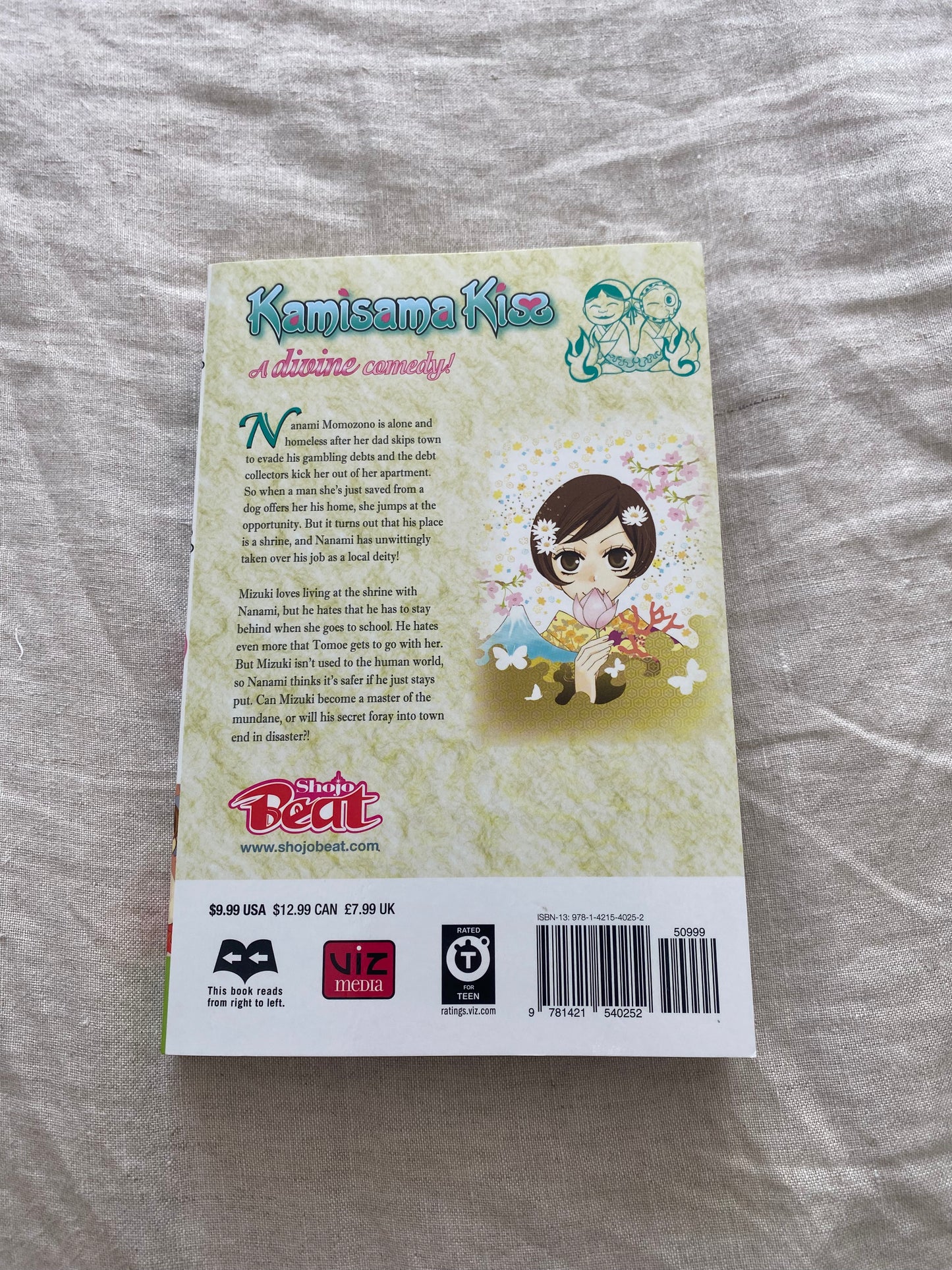 Kamisama Kiss, Volume 7 (Kamisama Kiss Series #7)